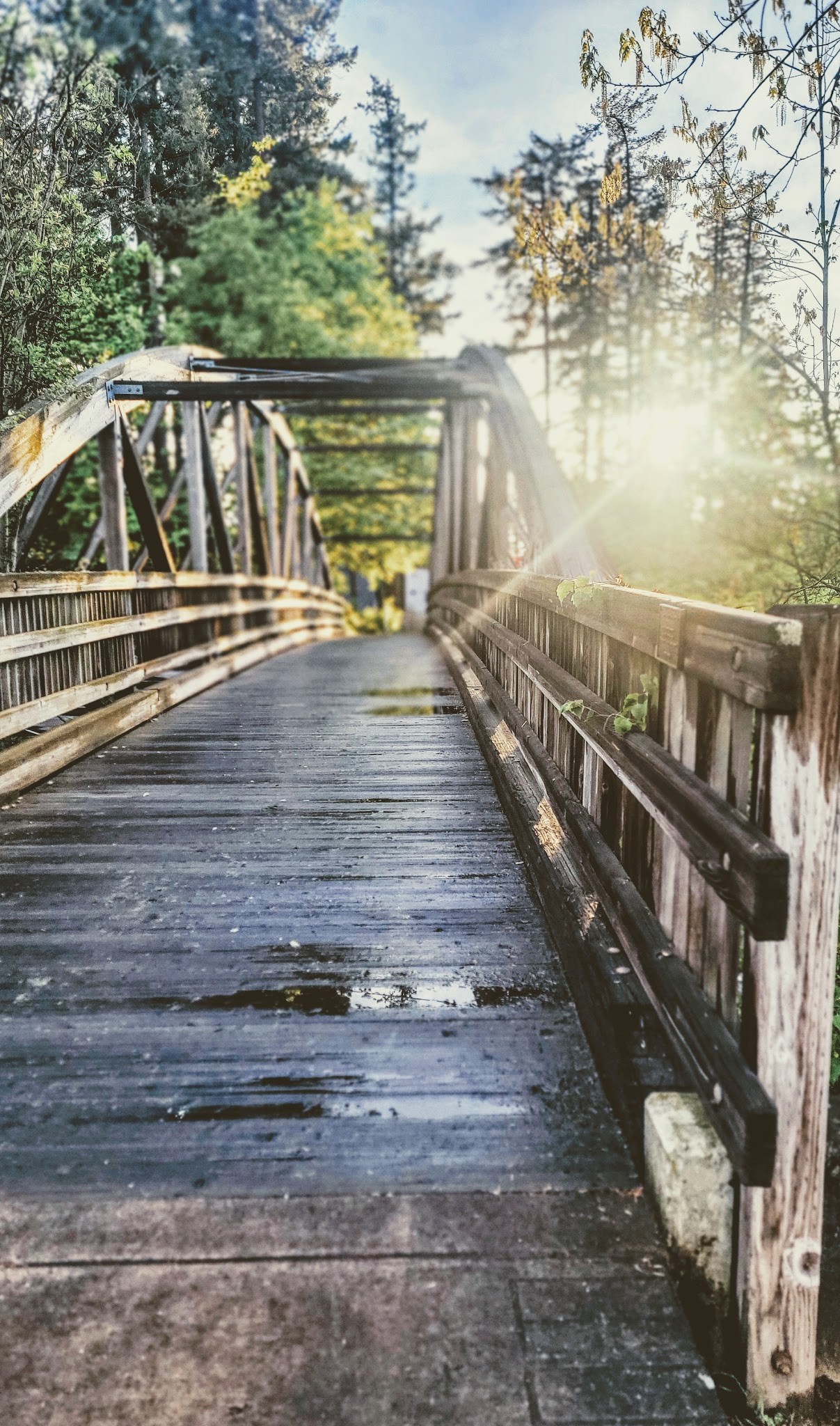 Foege Park - Beaverton, OR