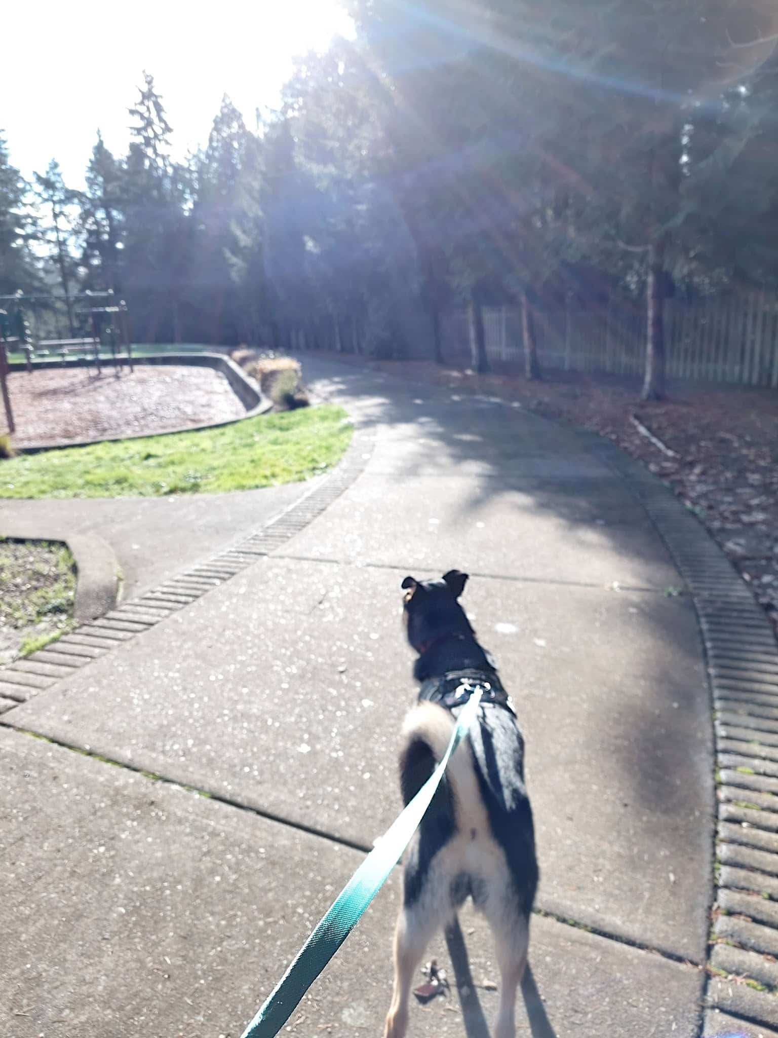 Foege Park - Beaverton, OR