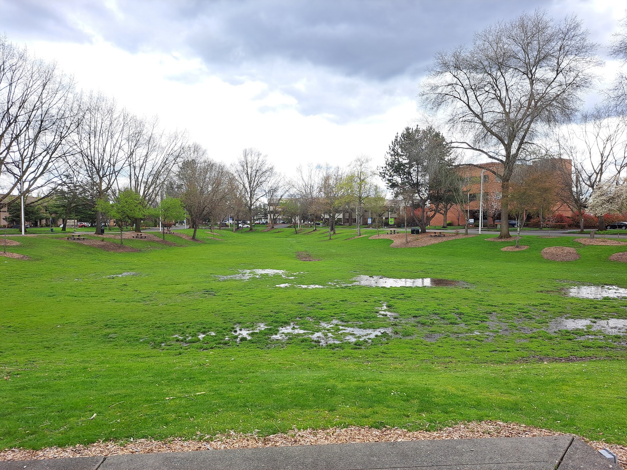 Griffith Park - Beaverton, OR