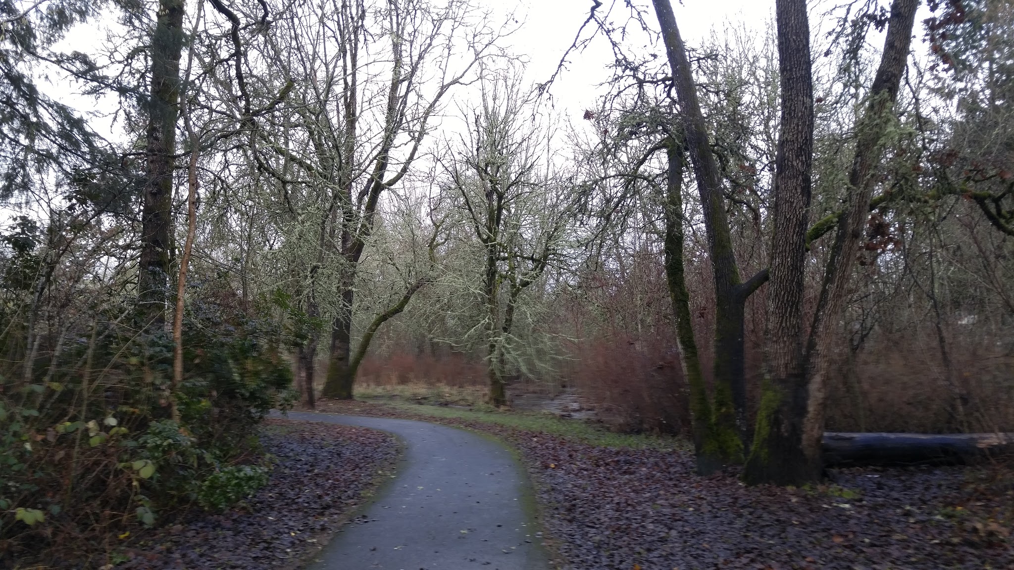 Hazeldale Park - Beaverton, OR