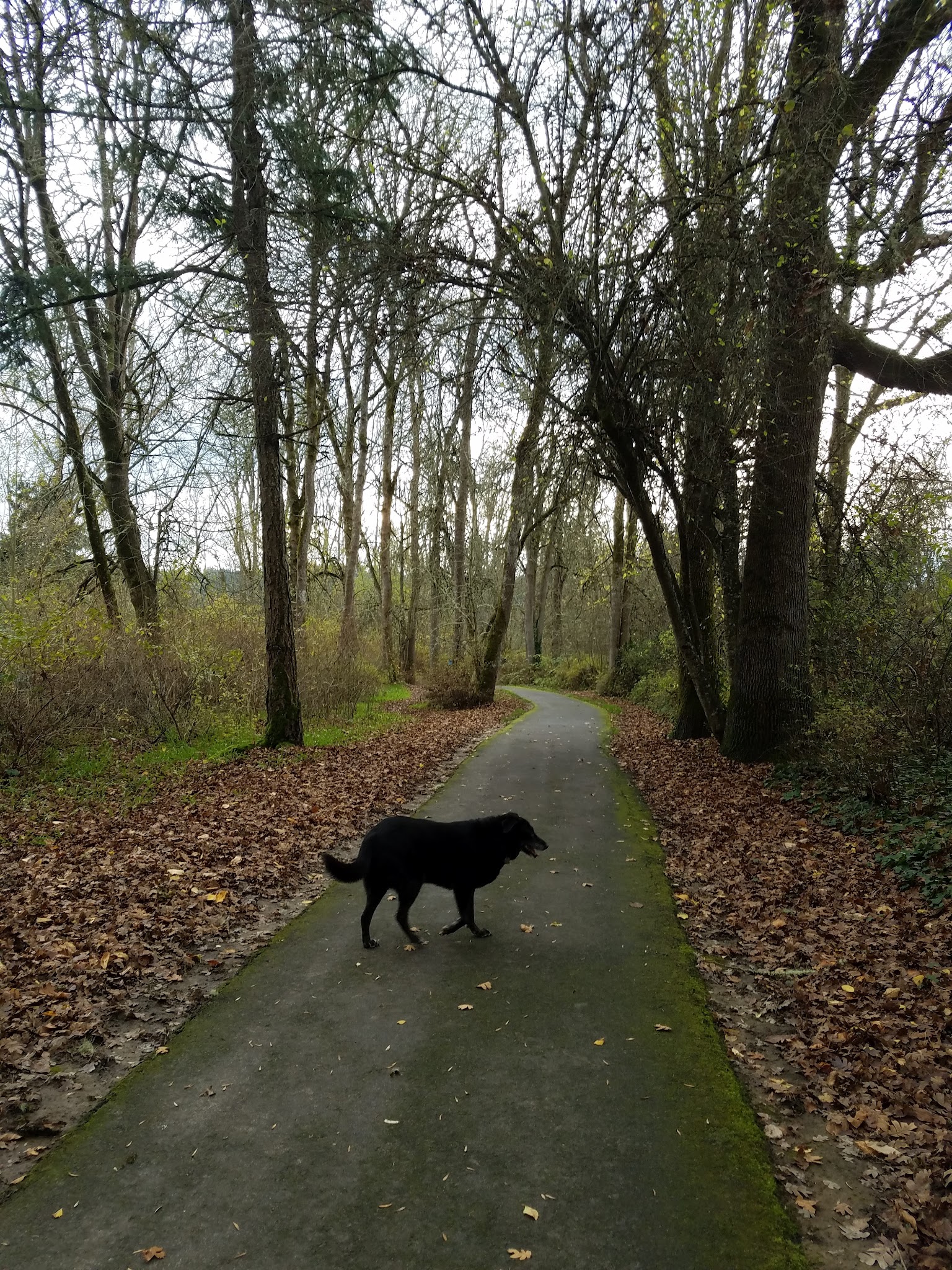 Hazeldale Park - Beaverton, OR