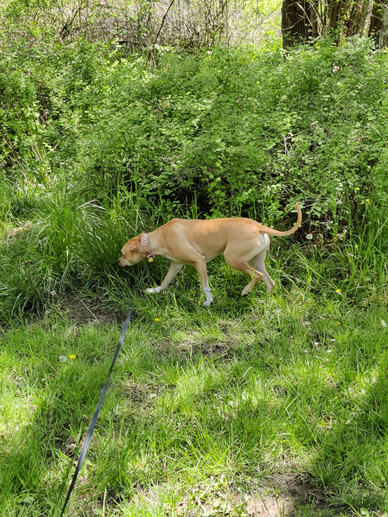 Hazeldale Park - Beaverton, OR