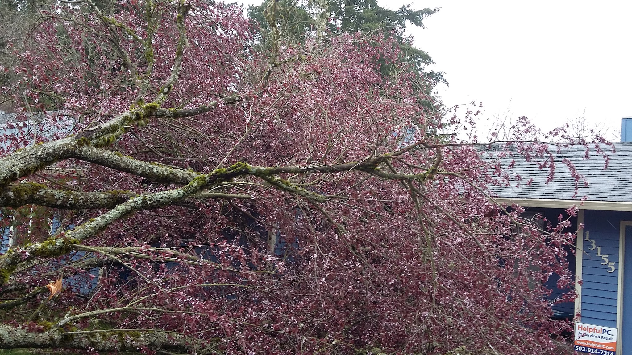 Meadow Waye Park - Beaverton, OR