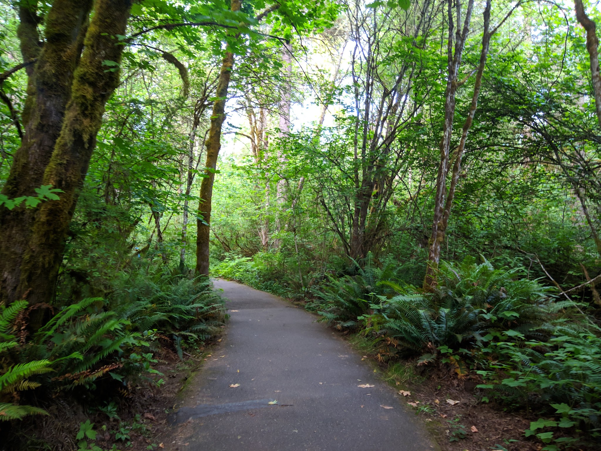 Tualatin Hills Nature Park - Beaverton, OR