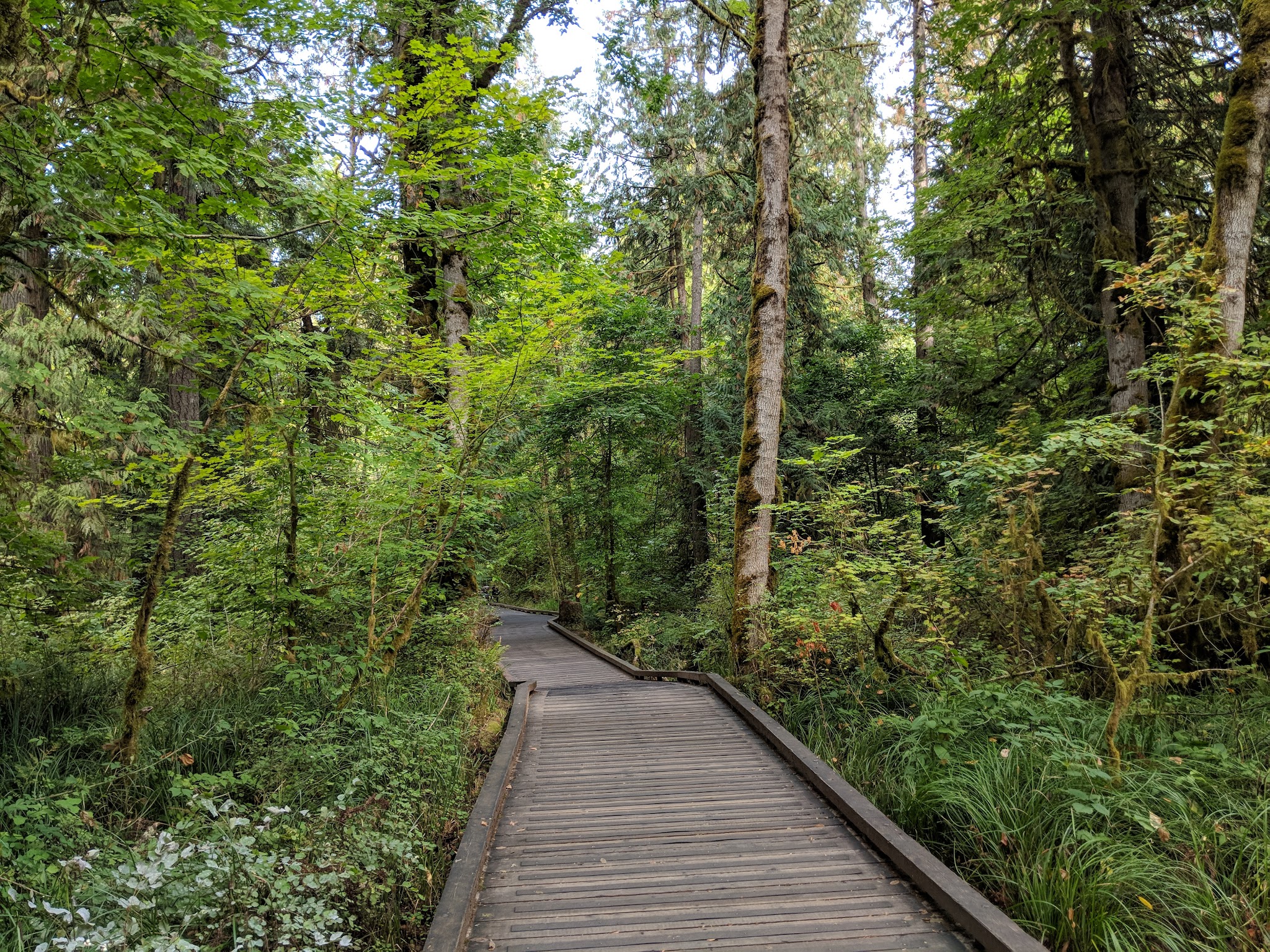 Tualatin Hills Nature Park - Beaverton, OR