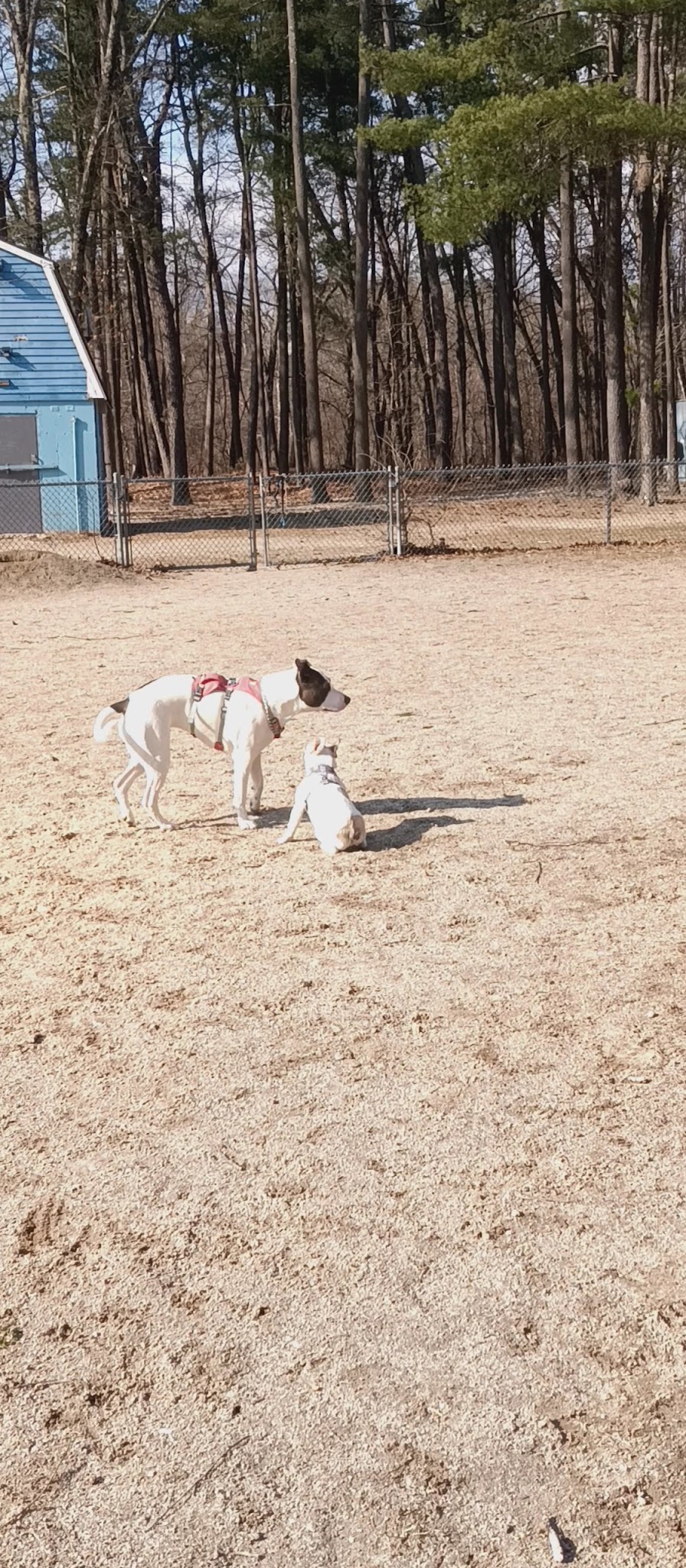 Earl G. Legacy Park - Hawkins Field - Bedford, NH