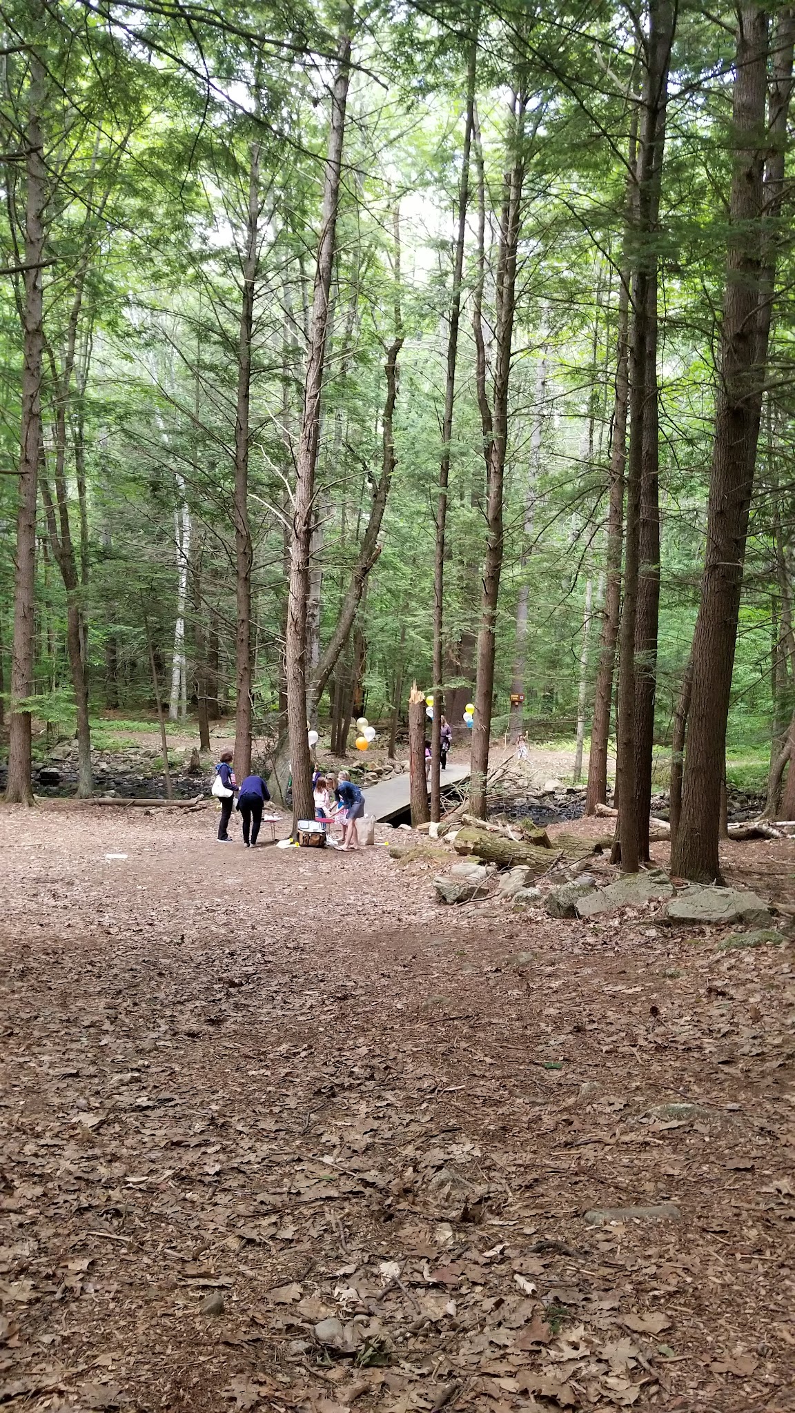 Earl Legacy Park - Bedford, NH