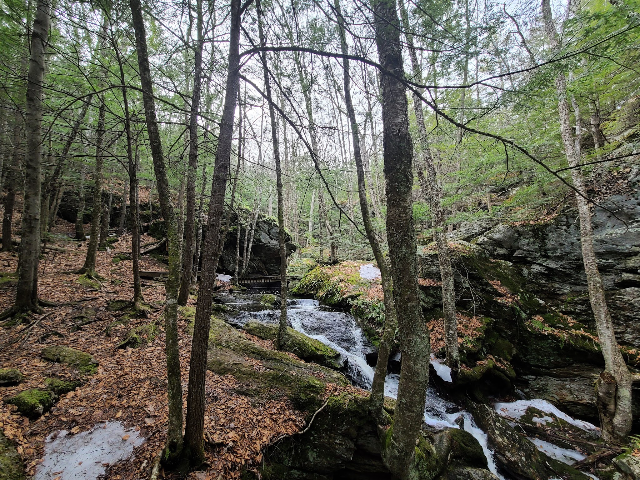 Pulpit Rock Conservation Area - Bedford, NH