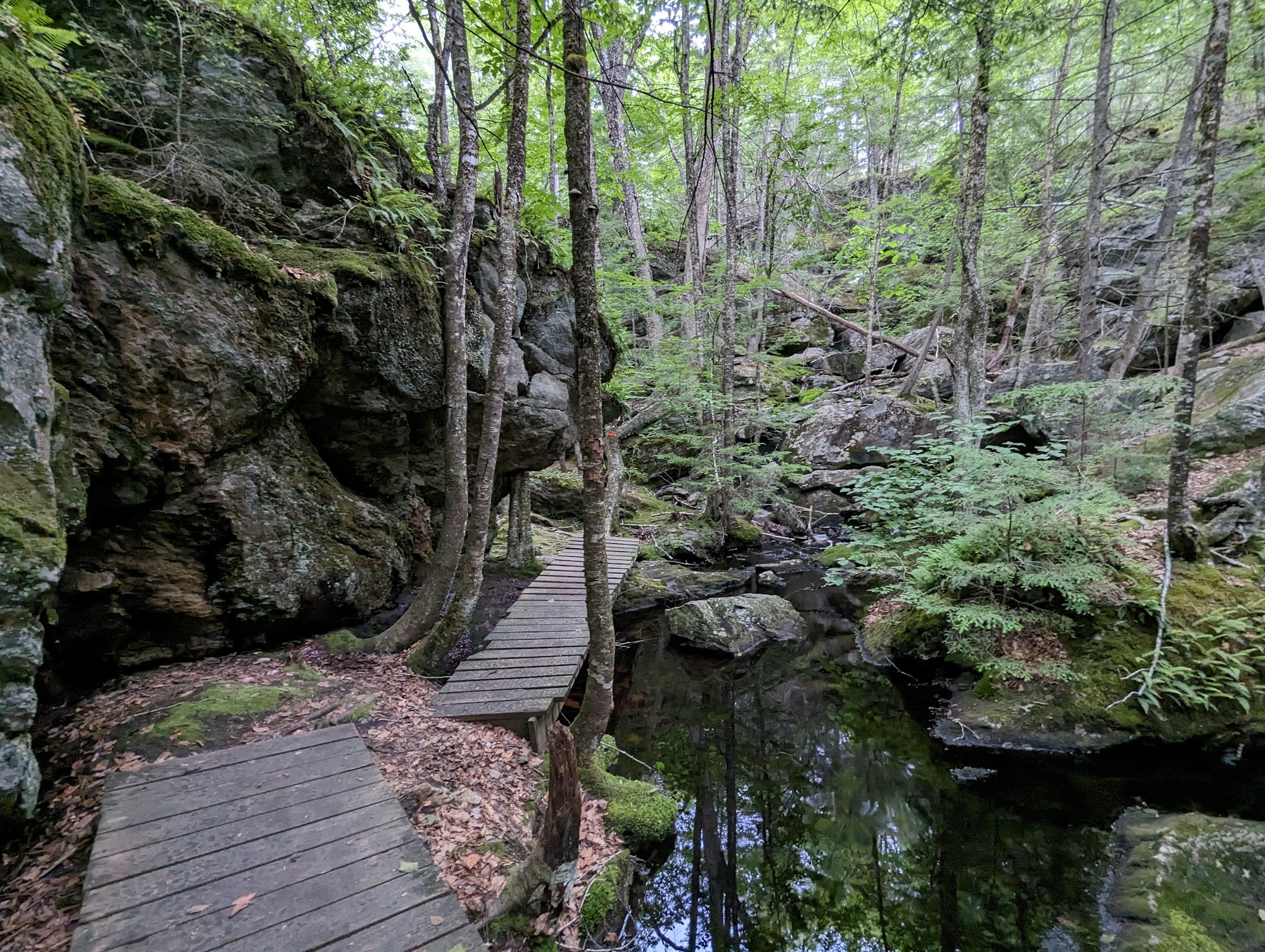 Pulpit Rock Conservation Area - Bedford, NH
