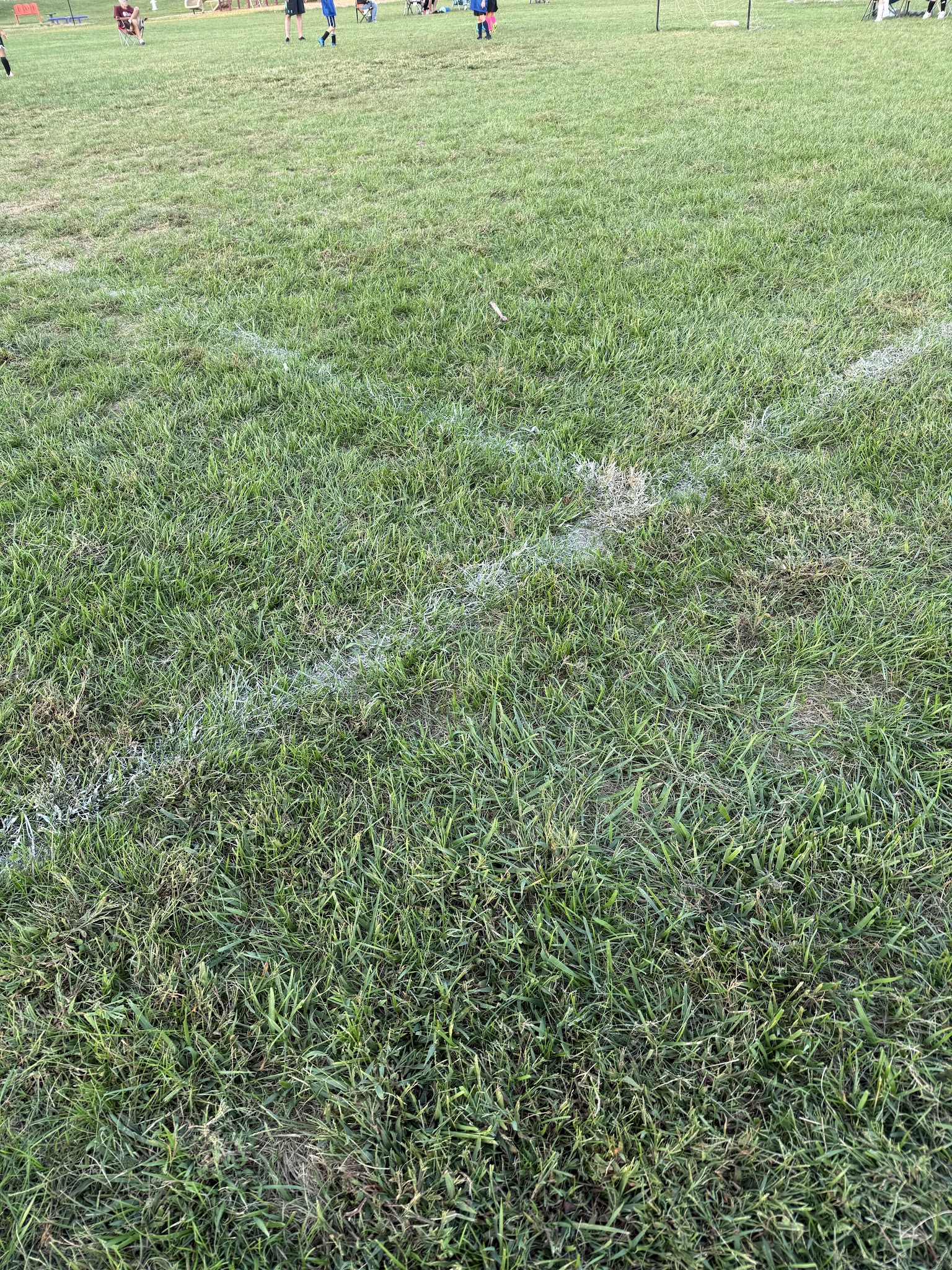 Bedford County Parks & Recreation - Bedford, VA