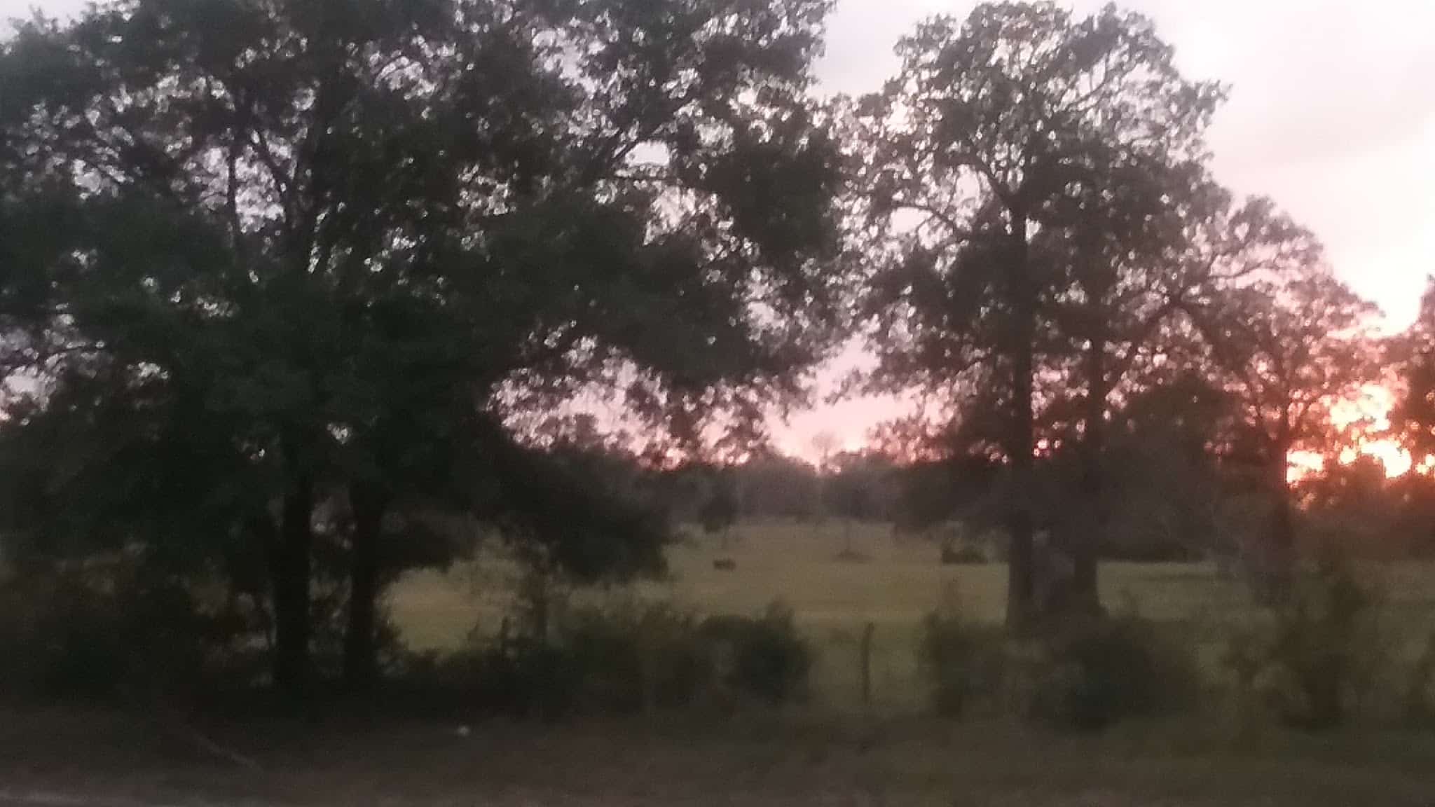 Roadside Picnic Area - Bedias, TX