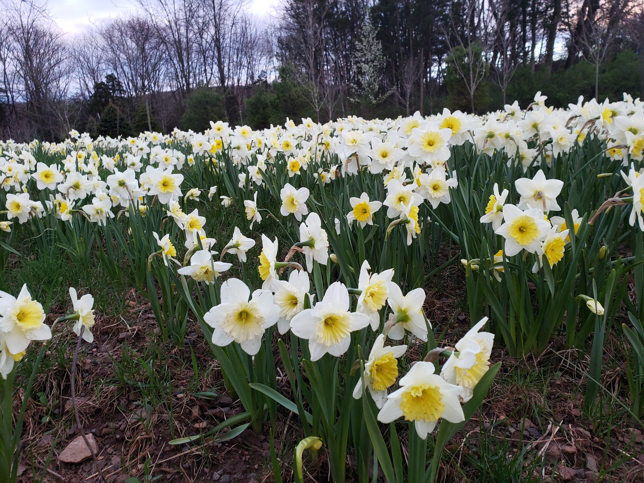 Bedminster Hike and Bikeway - Bedminster, NJ
