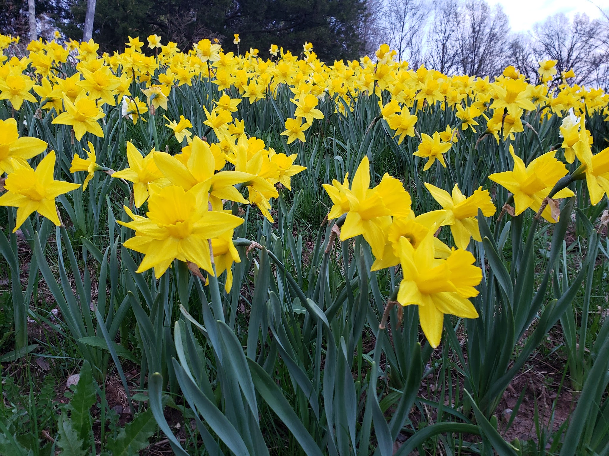 Bedminster Hike and Bikeway - Bedminster, NJ