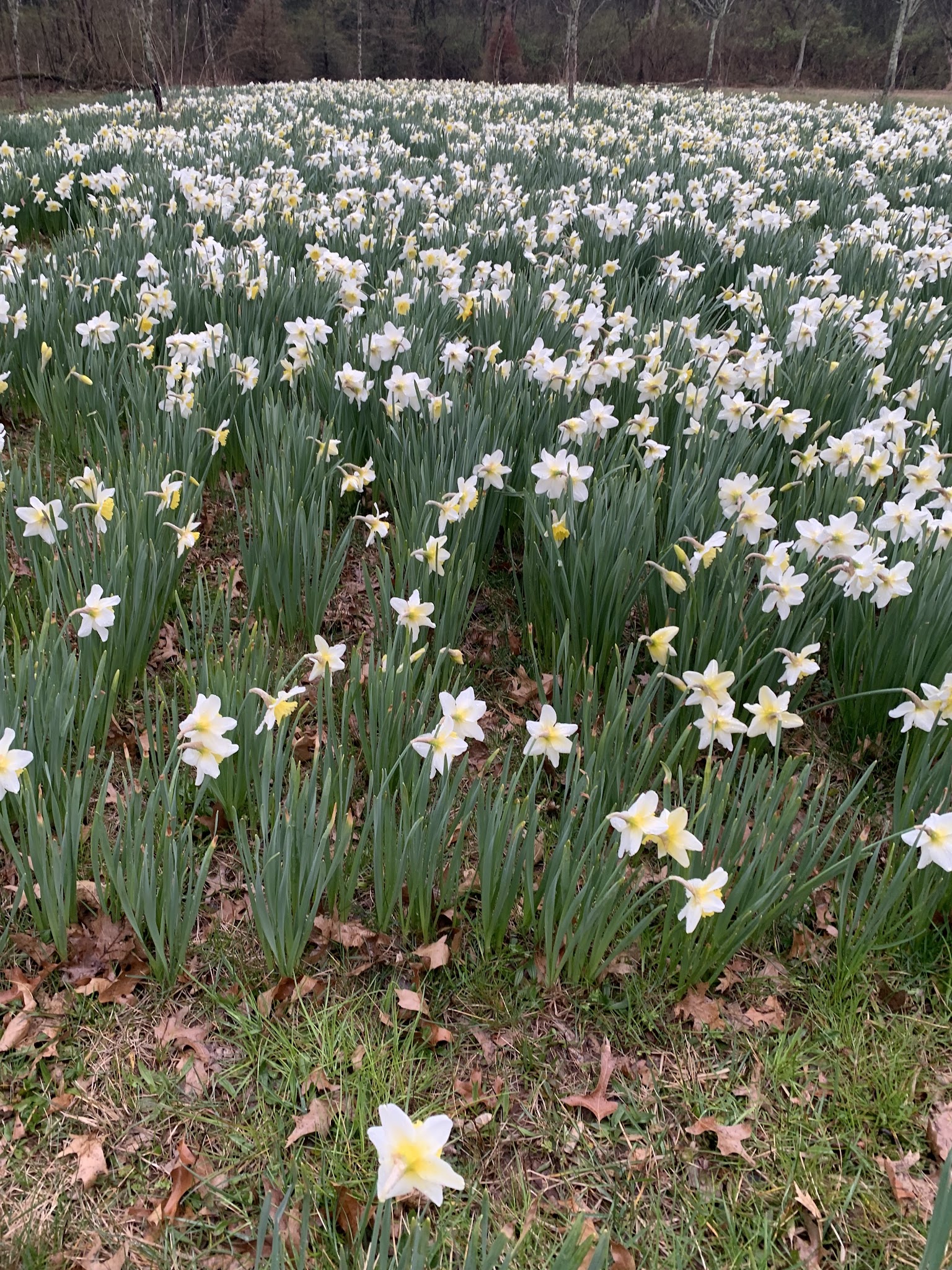 Bedminster Hike and Bikeway - Bedminster, NJ