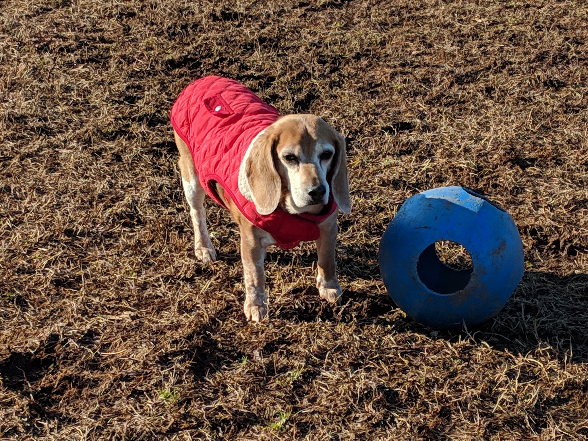 Burnt Mills Park - Bedminster, NJ
