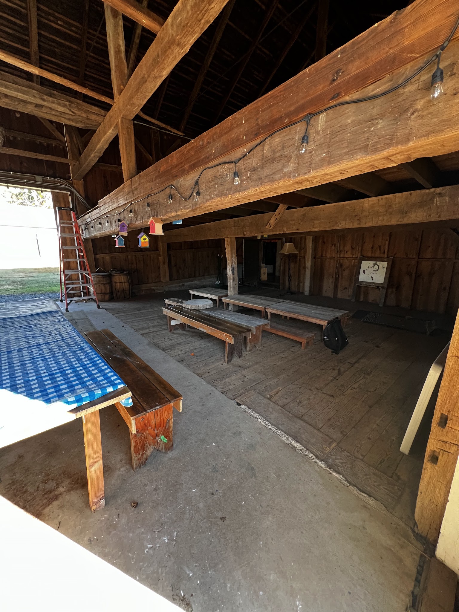 Fairview Farm Wildlife Preserve - Bedminster, NJ