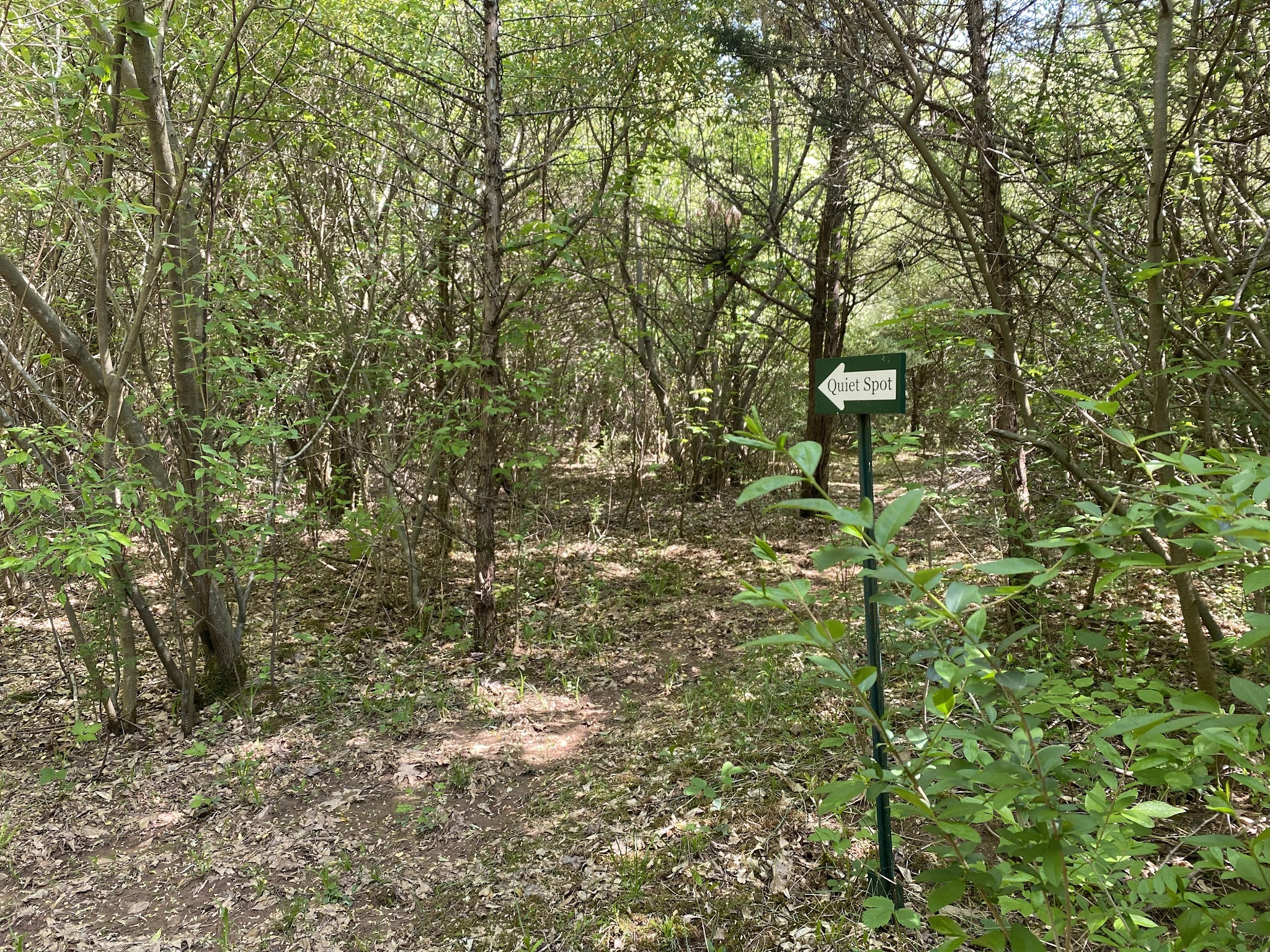 Fairview Farm Wildlife Preserve - Bedminster, NJ
