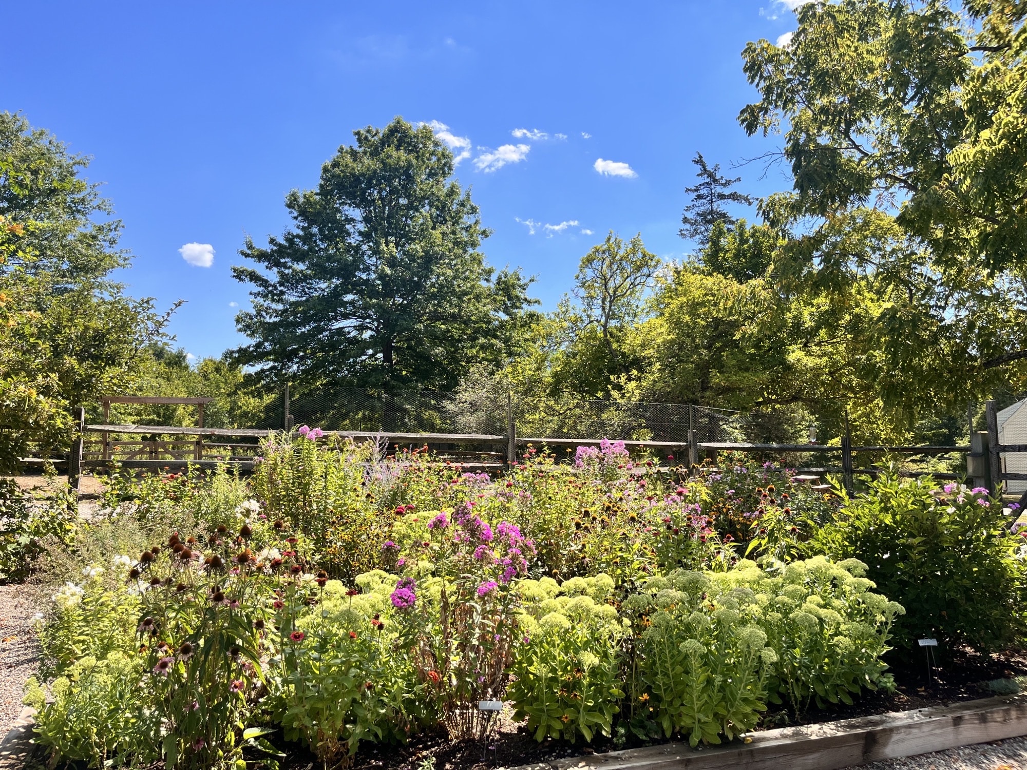 Fairview Farm Wildlife Preserve - Bedminster, NJ