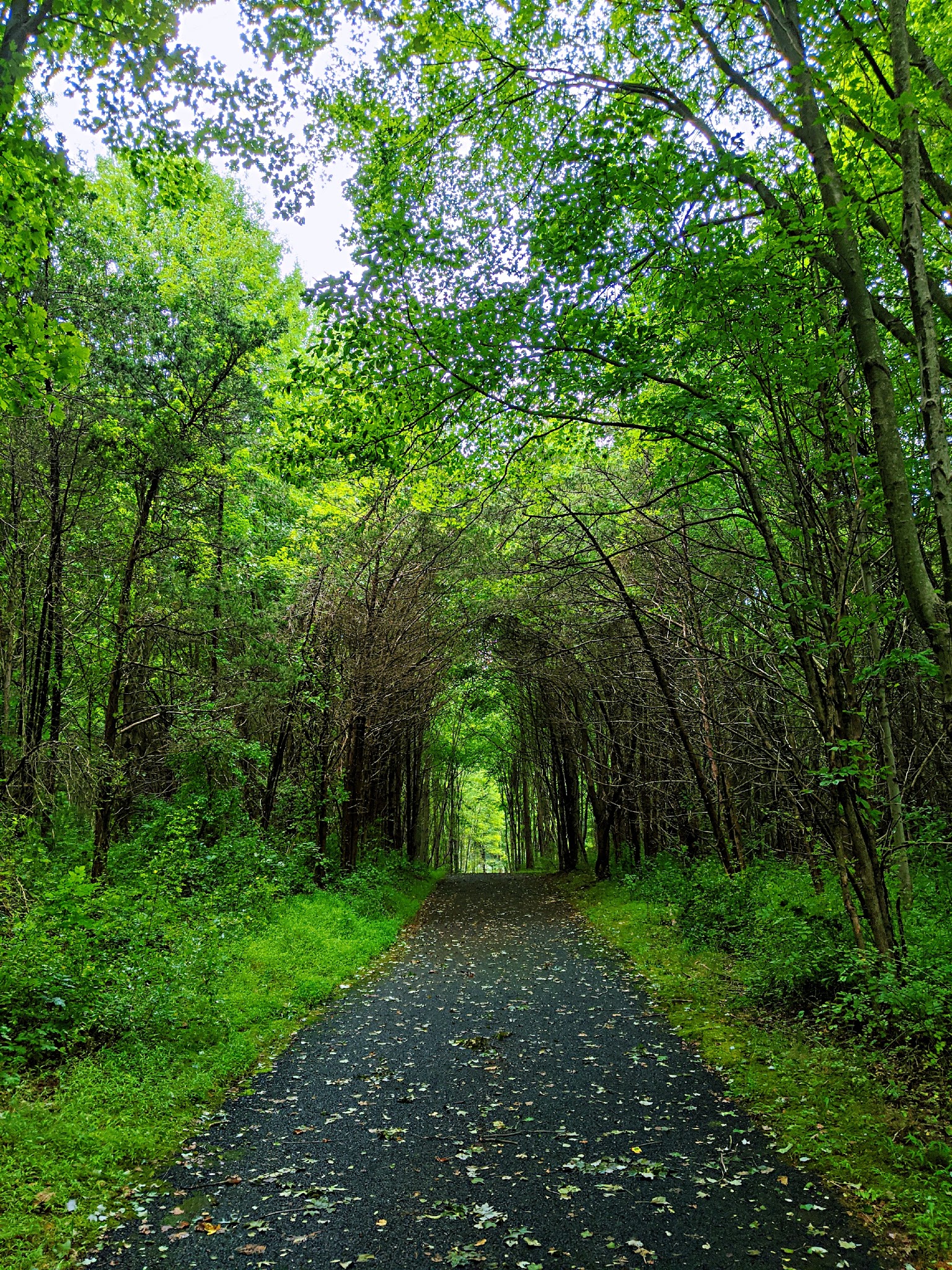 River Road Park - Bedminster, NJ