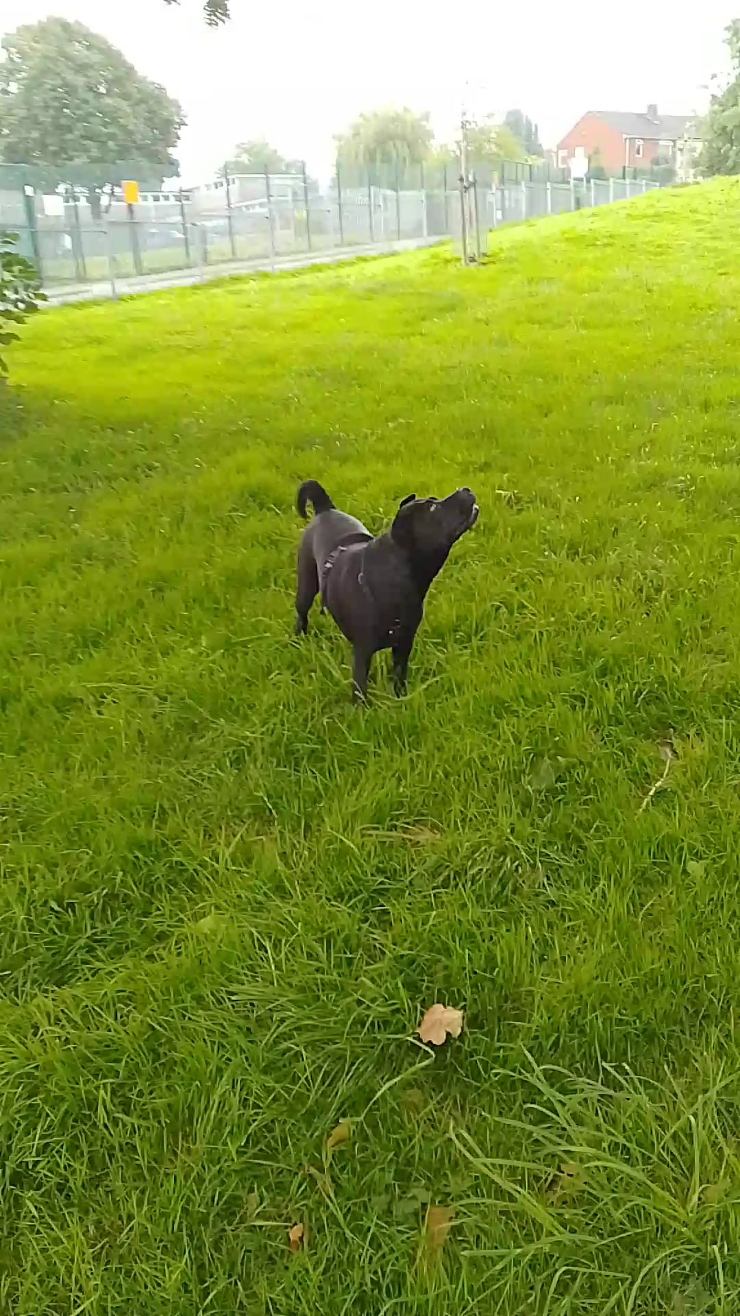 River Road Park - Bedminster, NJ