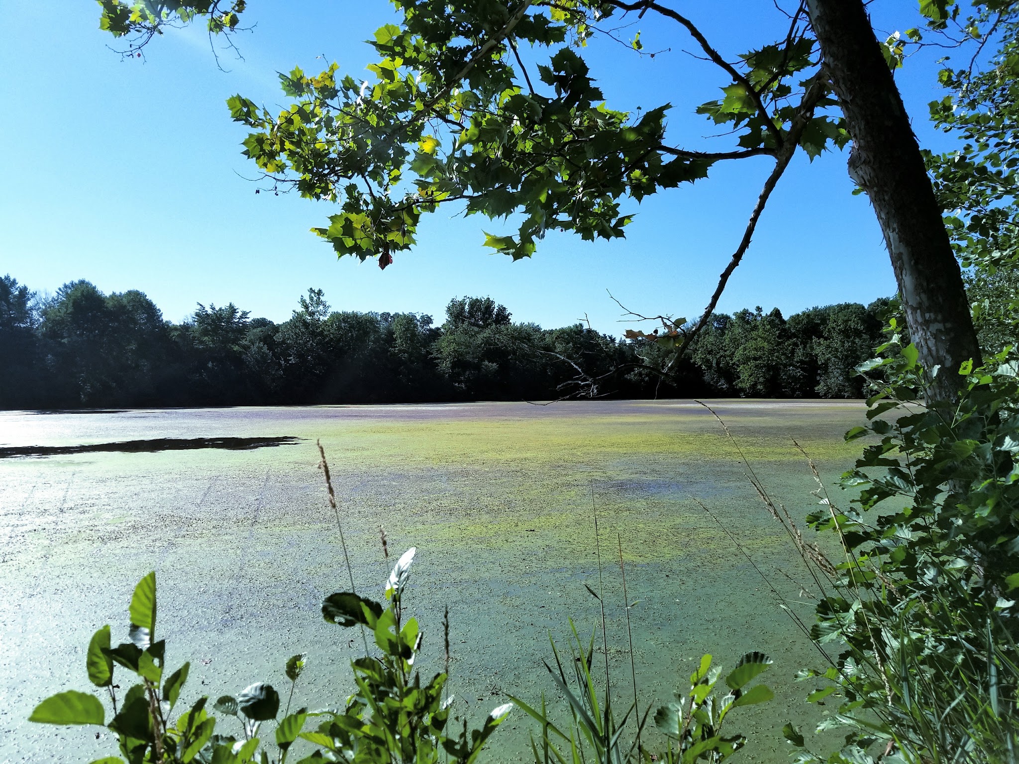 River Road Park - Bedminster, NJ
