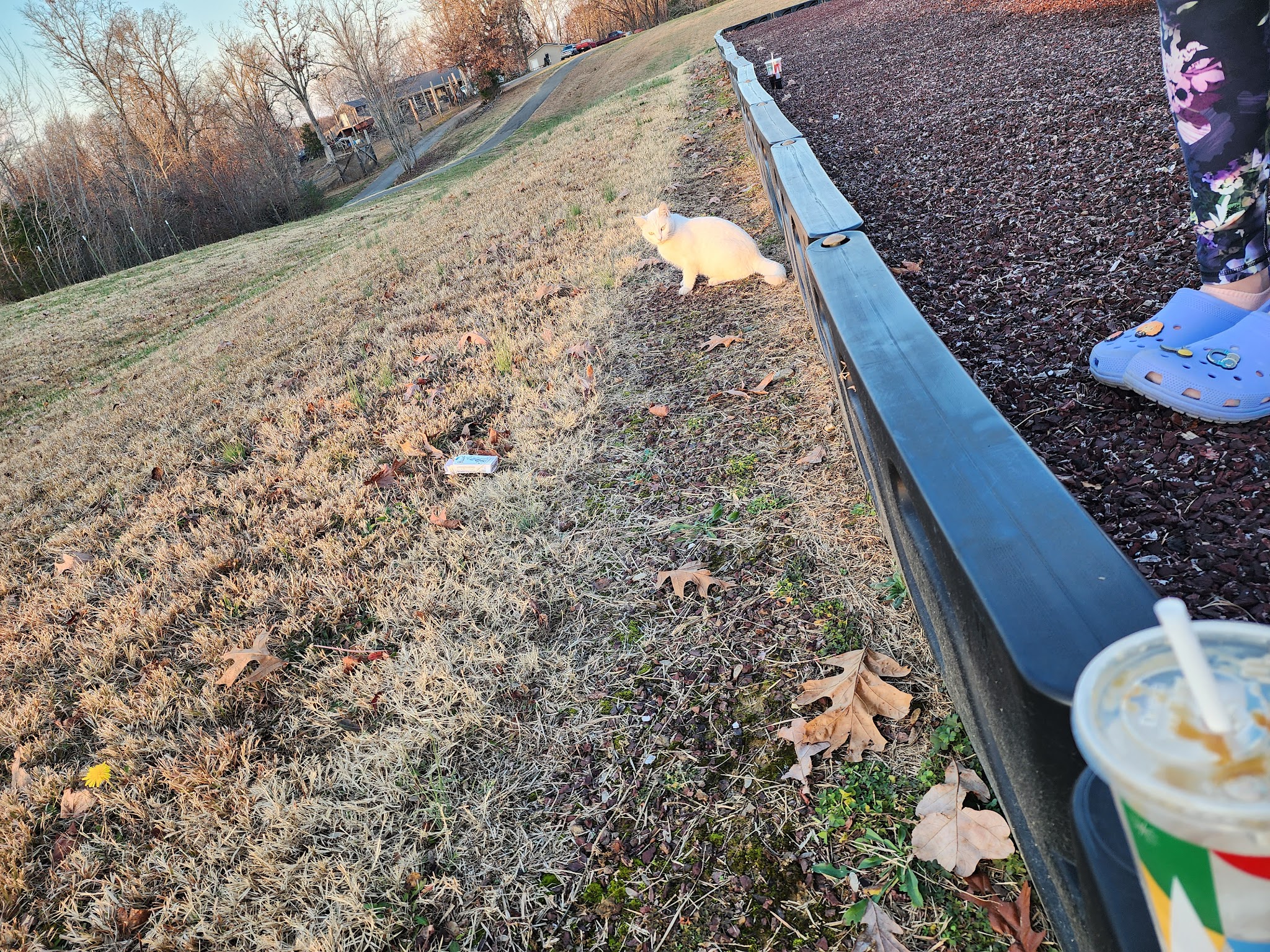 Bee Spring Park - Bee Spring, KY