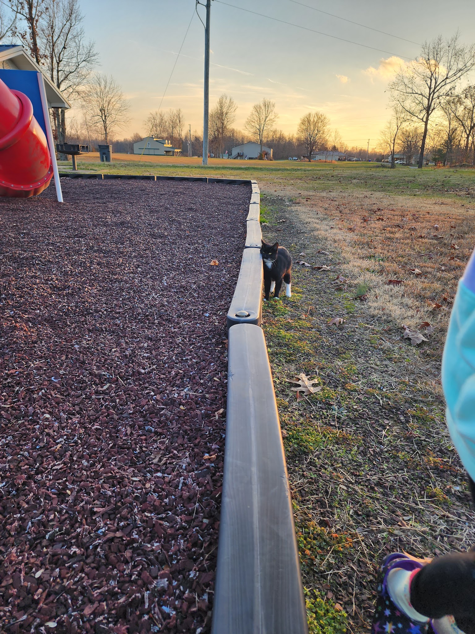 Bee Spring Park - Bee Spring, KY