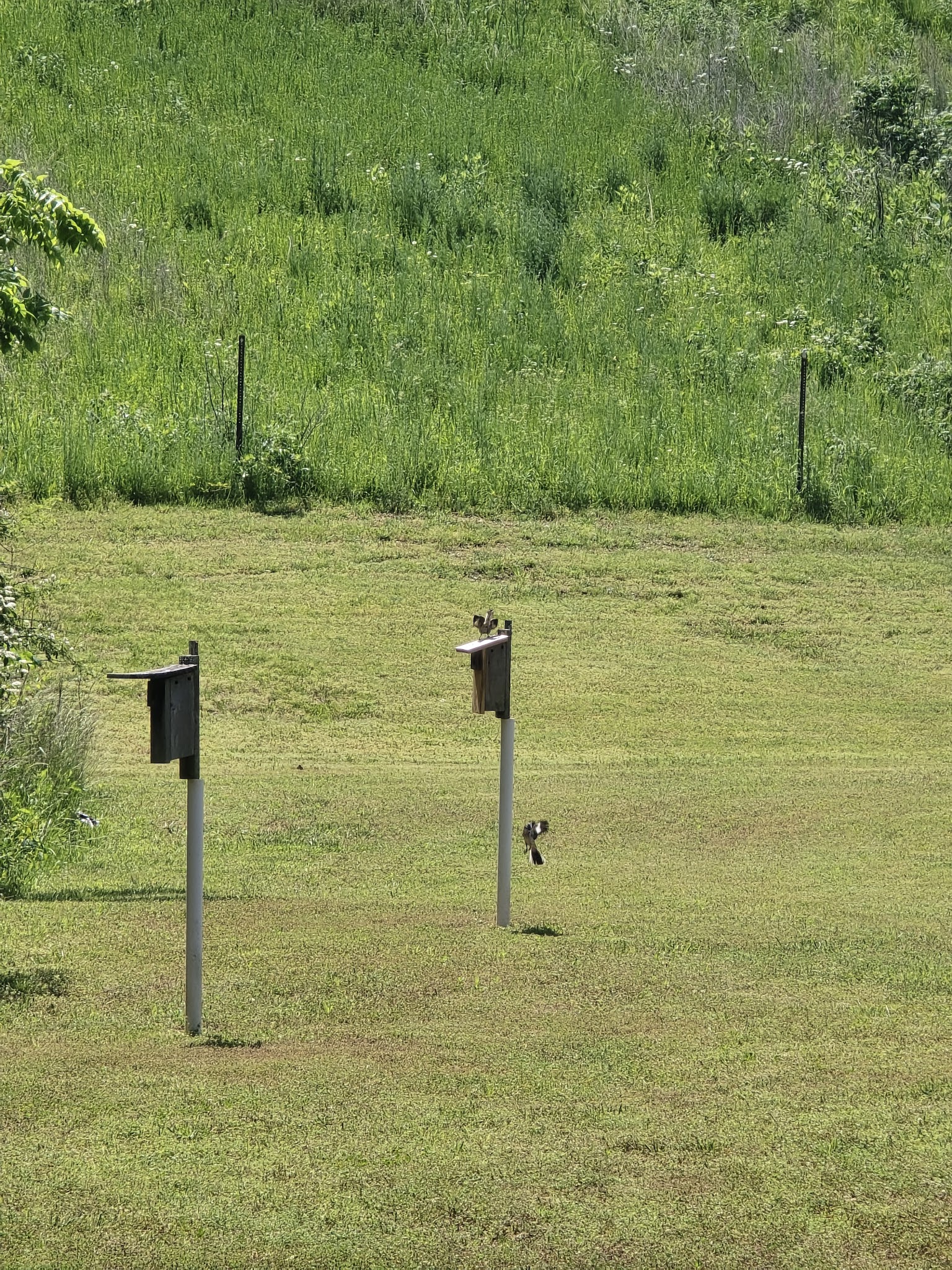 Loch Lomond Park - Bella Vista, AR