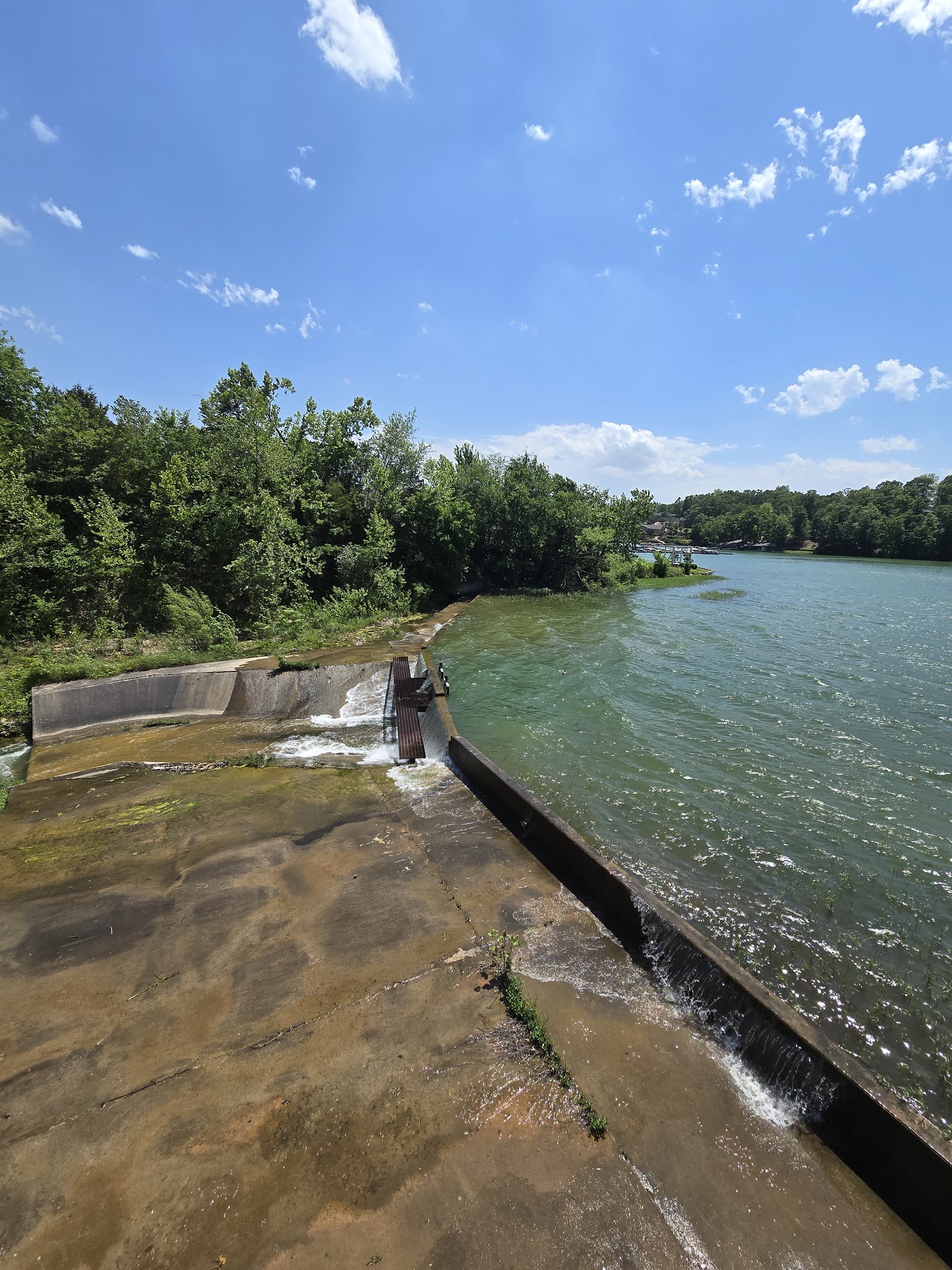 Loch Lomond Park - Bella Vista, AR