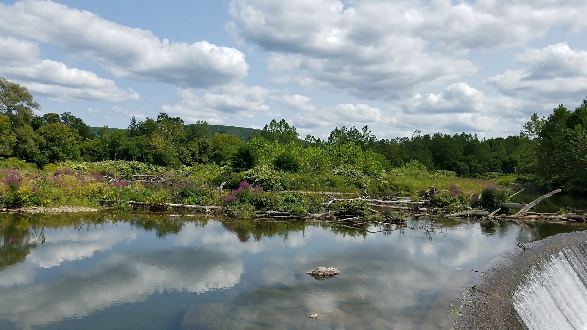 First Responders Park & River Access - Belmont, NY