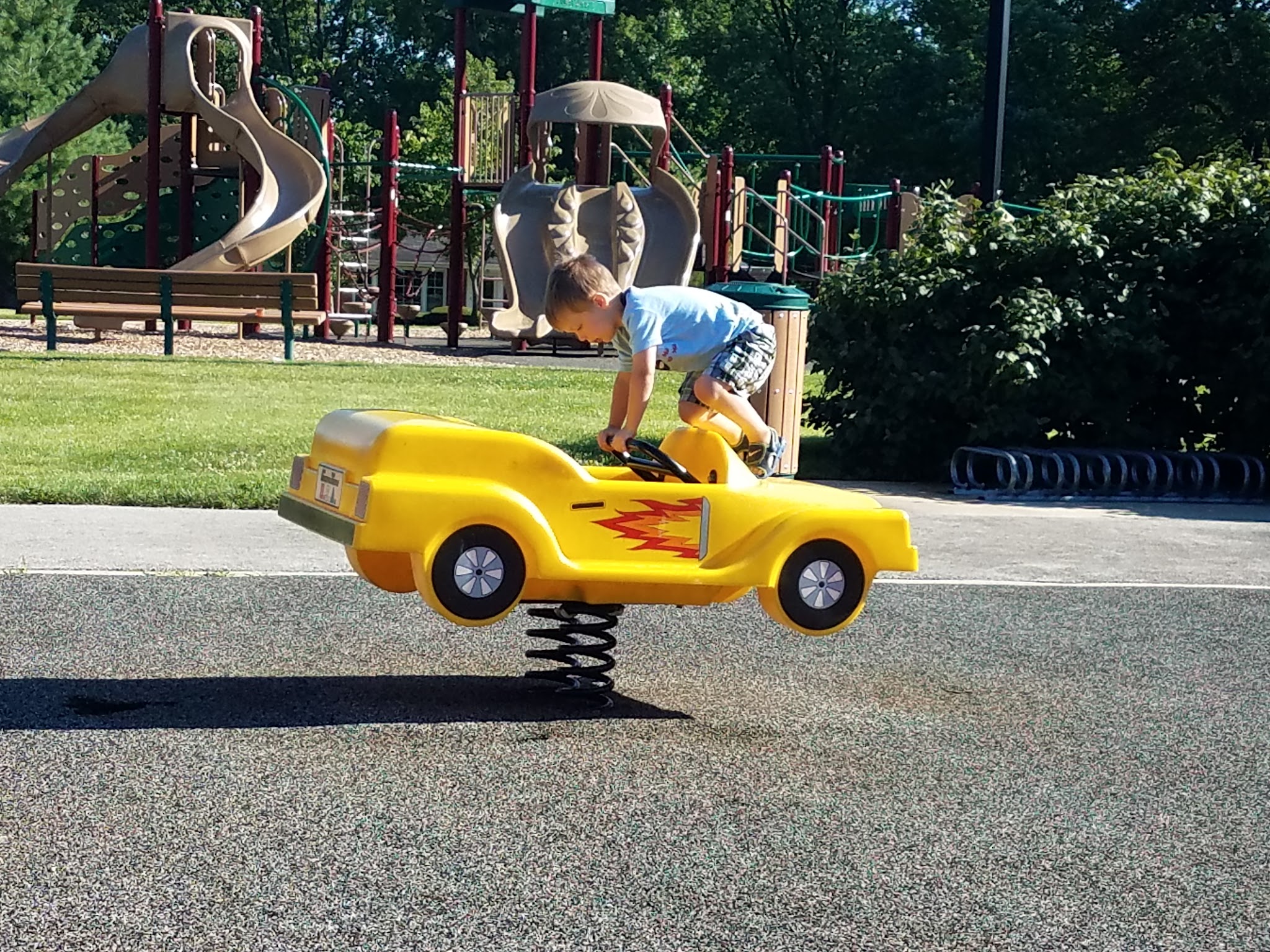 Pines Park - Bensenville, IL