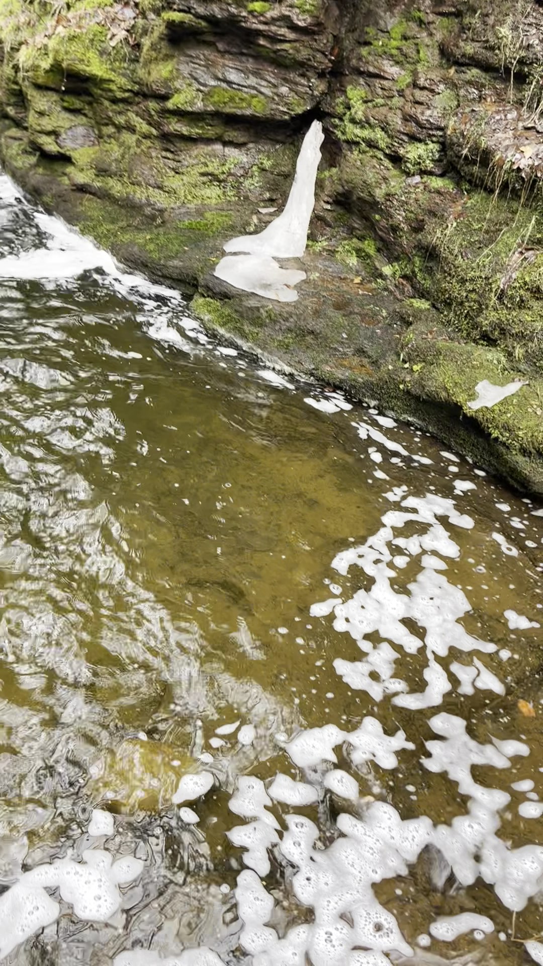 Evergreen Trail at Ricketts Glen - Benton, PA