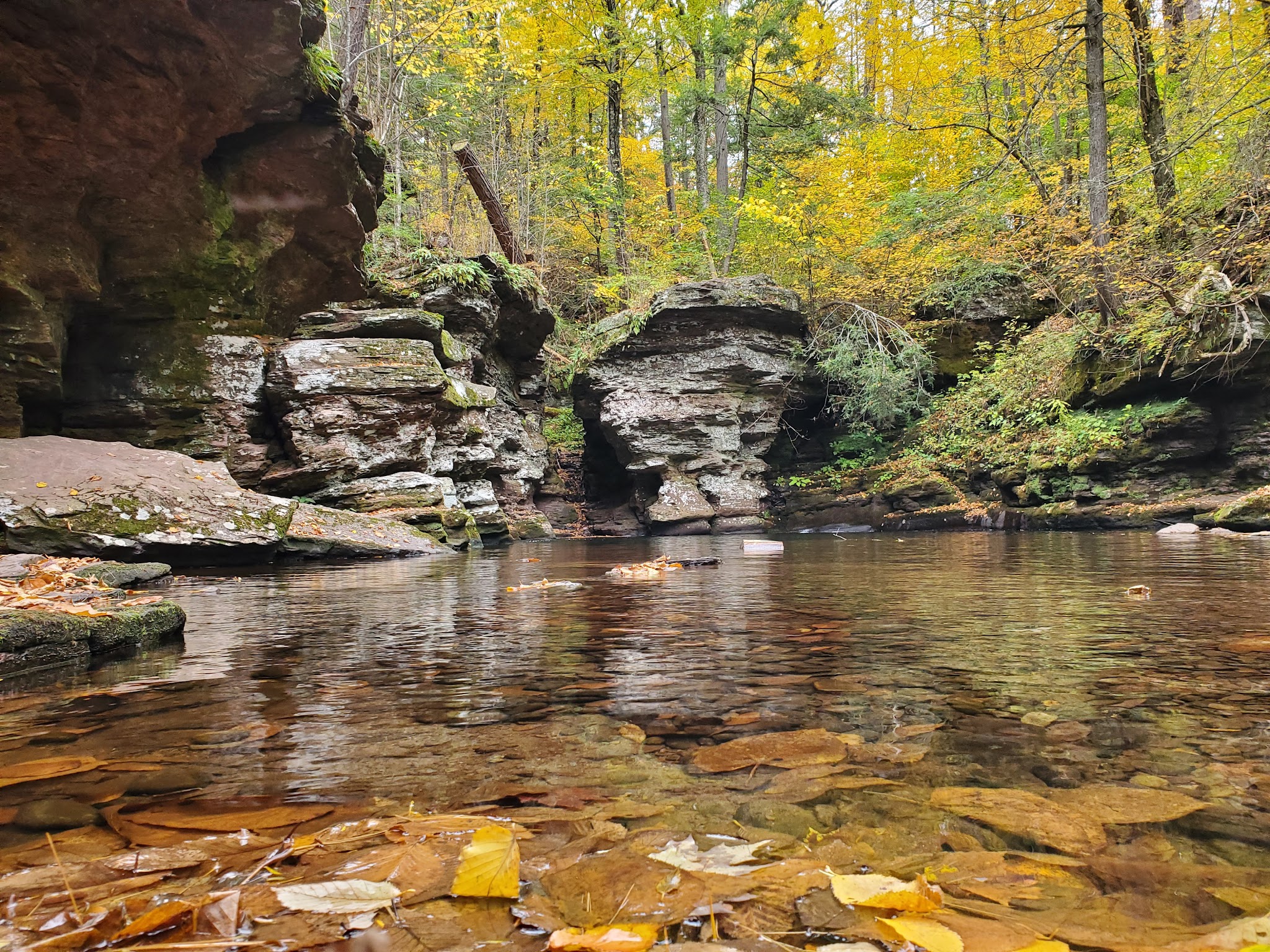 Evergreen Trail at Ricketts Glen - Benton, PA