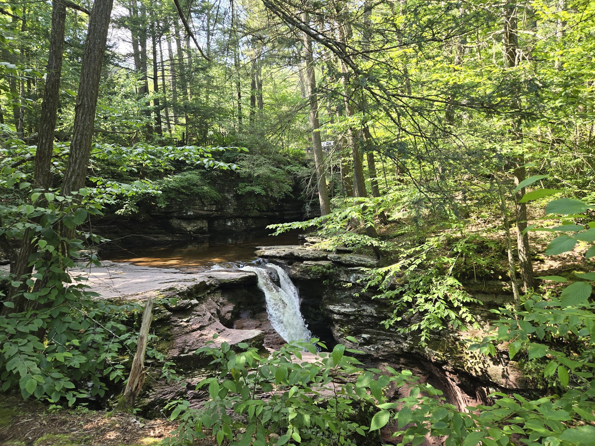 Evergreen Trail at Ricketts Glen - Benton, PA