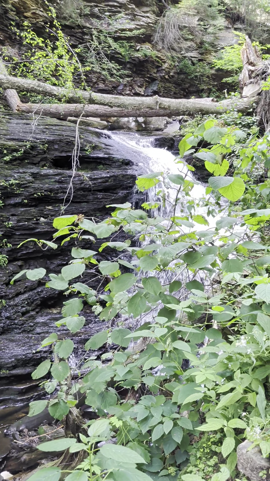 Falls Trail - Benton, PA