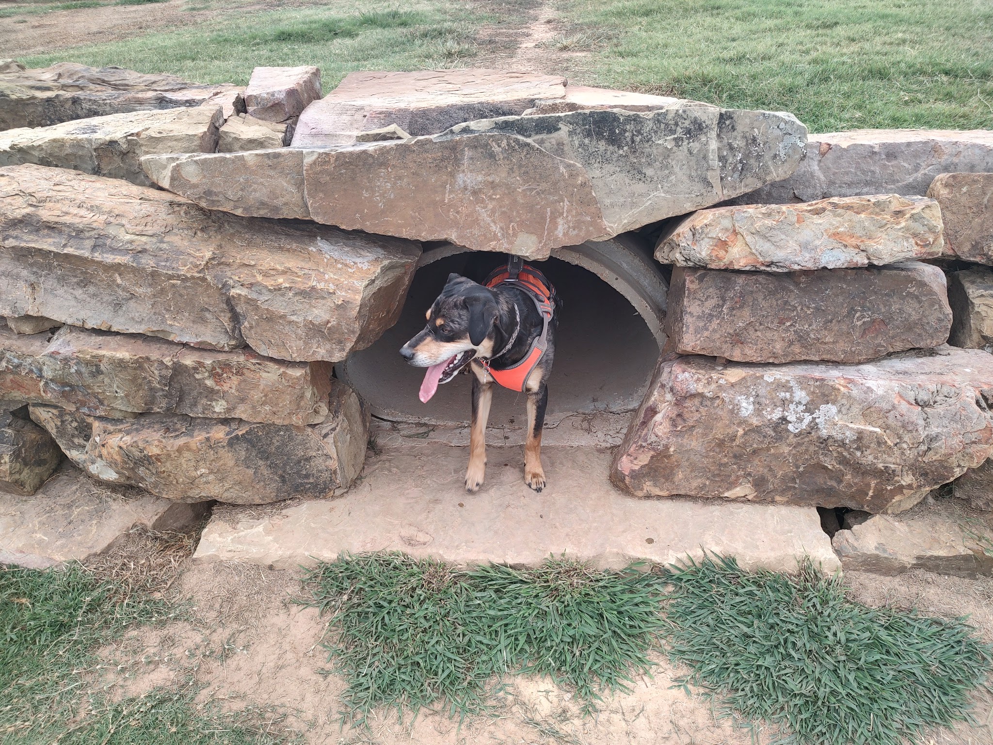 Orchards Dog Park - Bentonville, AR