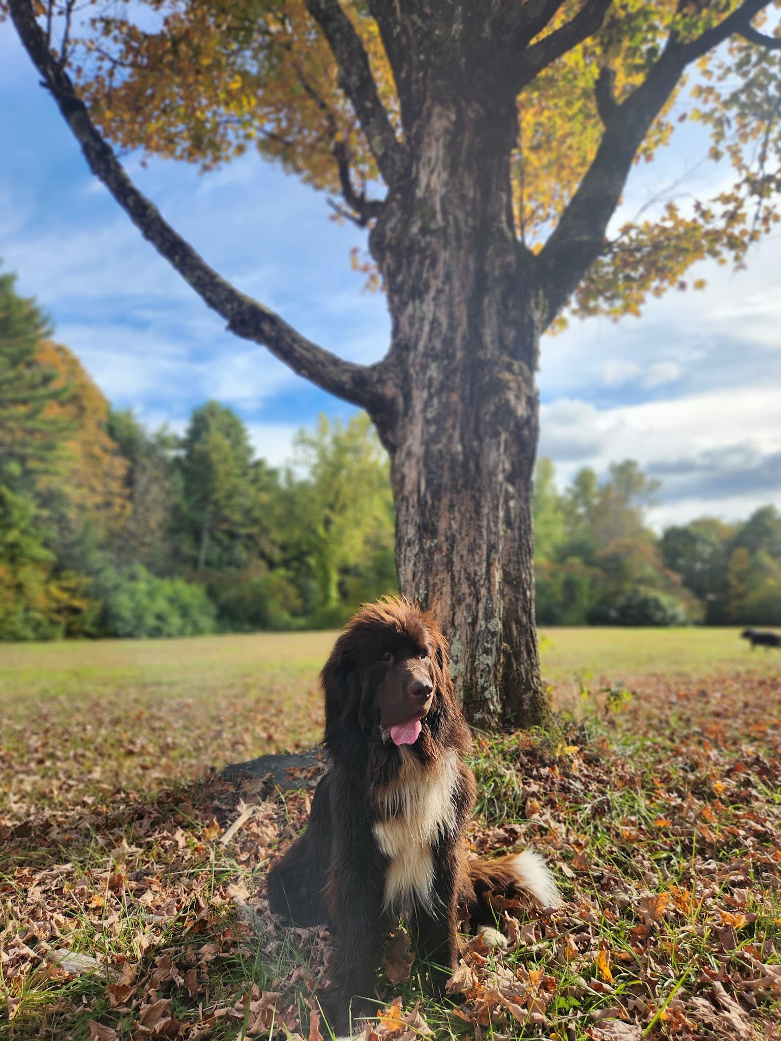 Kiwanis Park - Bernardston, MA