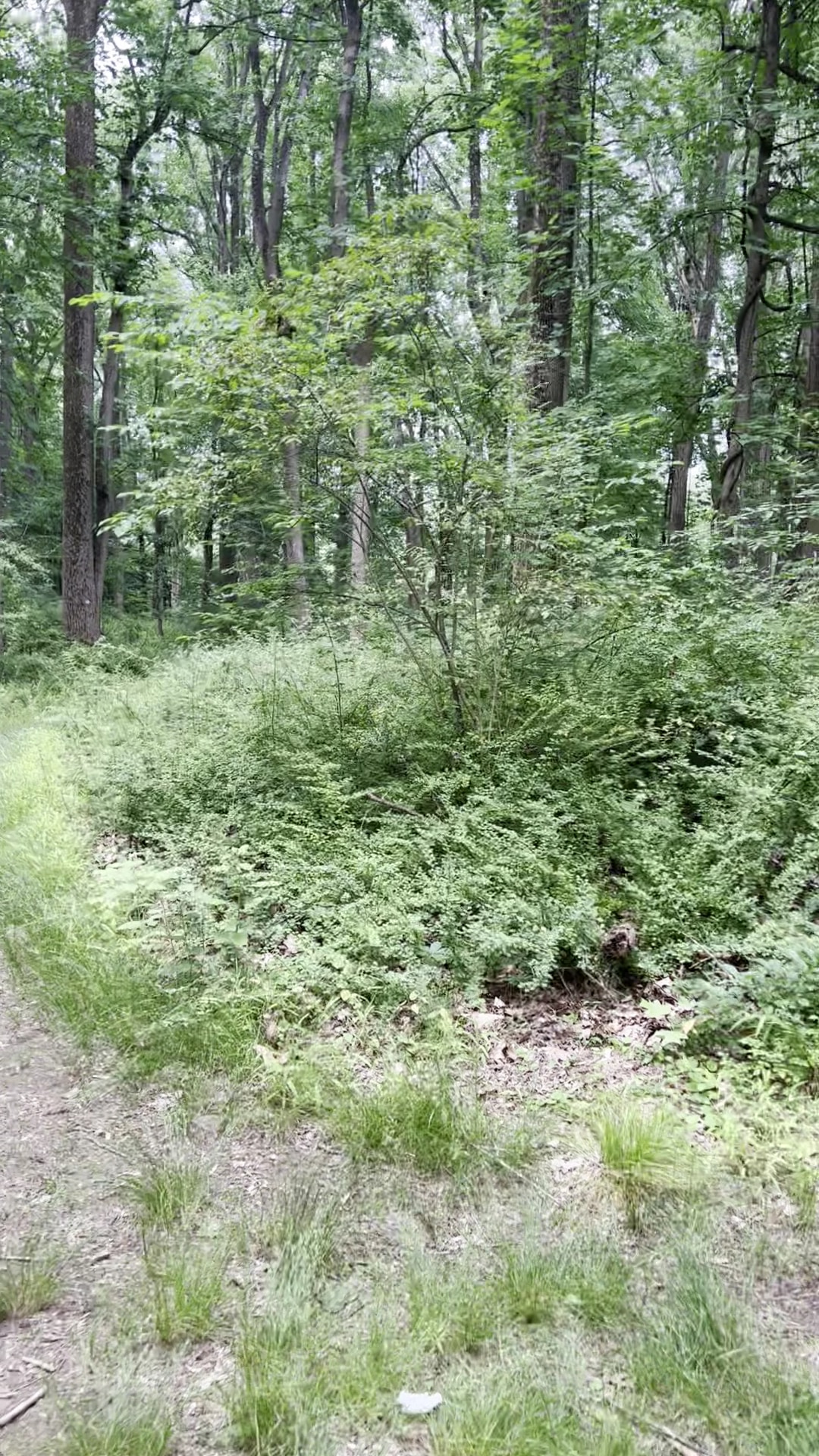 New Jersey Brigade Area - Bernardsville, NJ