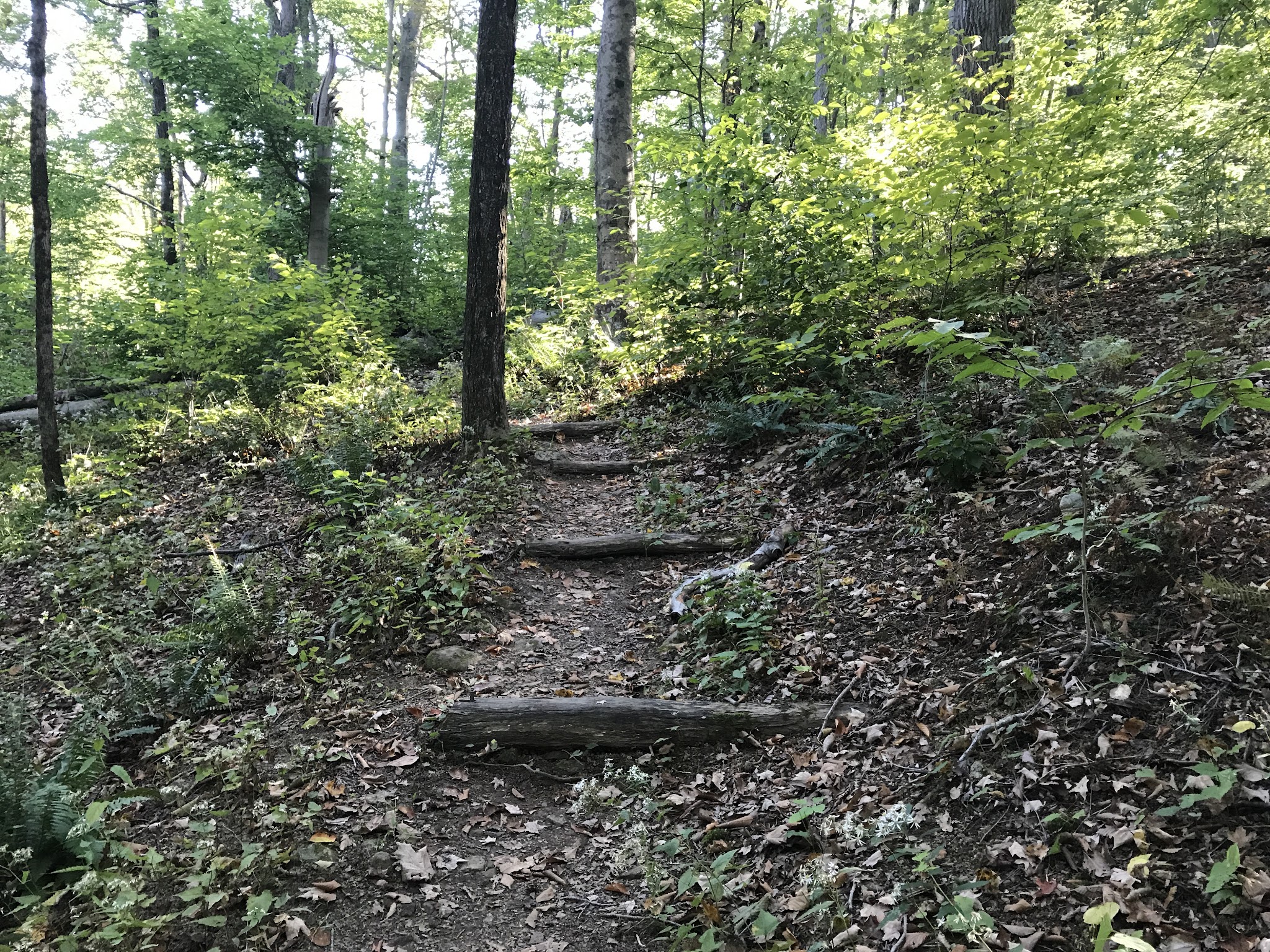 New Jersey Brigade Area - Bernardsville, NJ