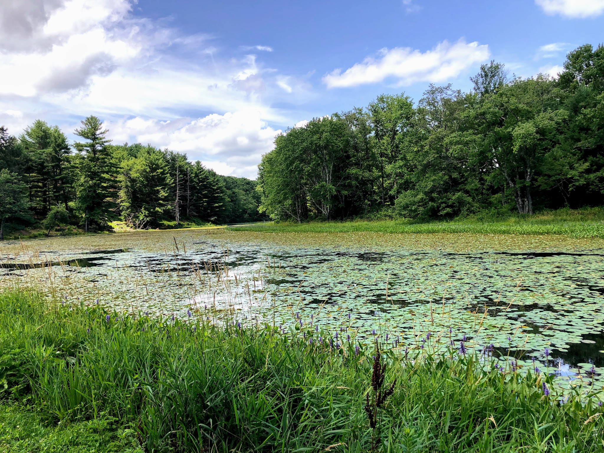 Lake Superior State Park - Bethel, NY