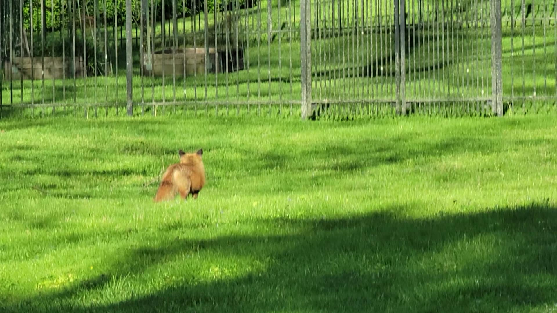 Monocacy Way - Bethlehem, PA