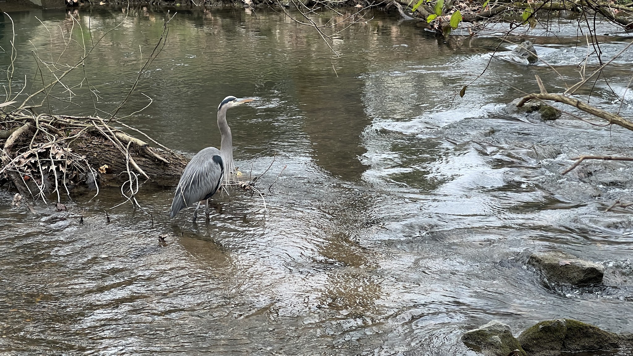 Monocacy Way - Bethlehem, PA