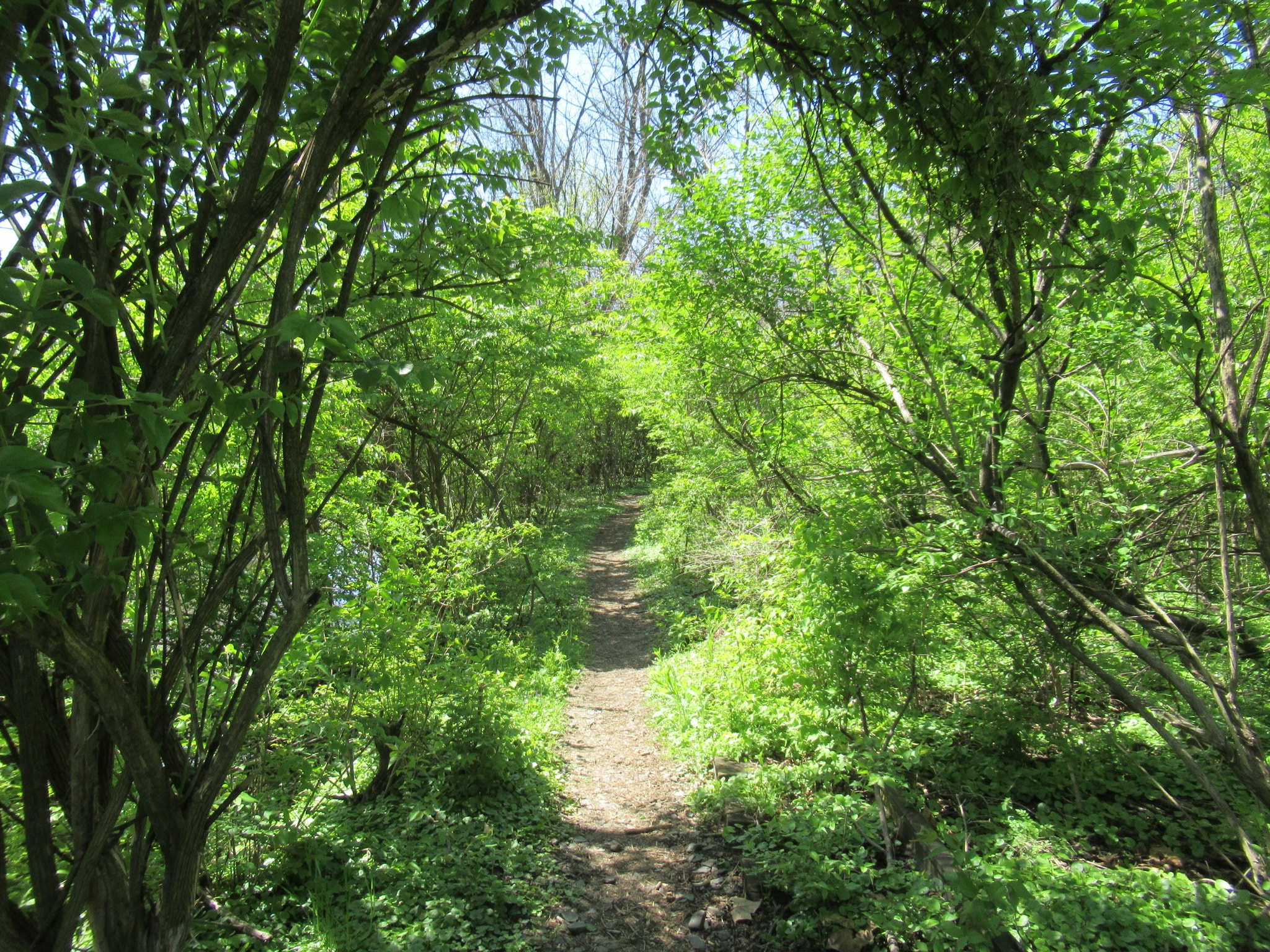 Monocacy Way - Bethlehem, PA