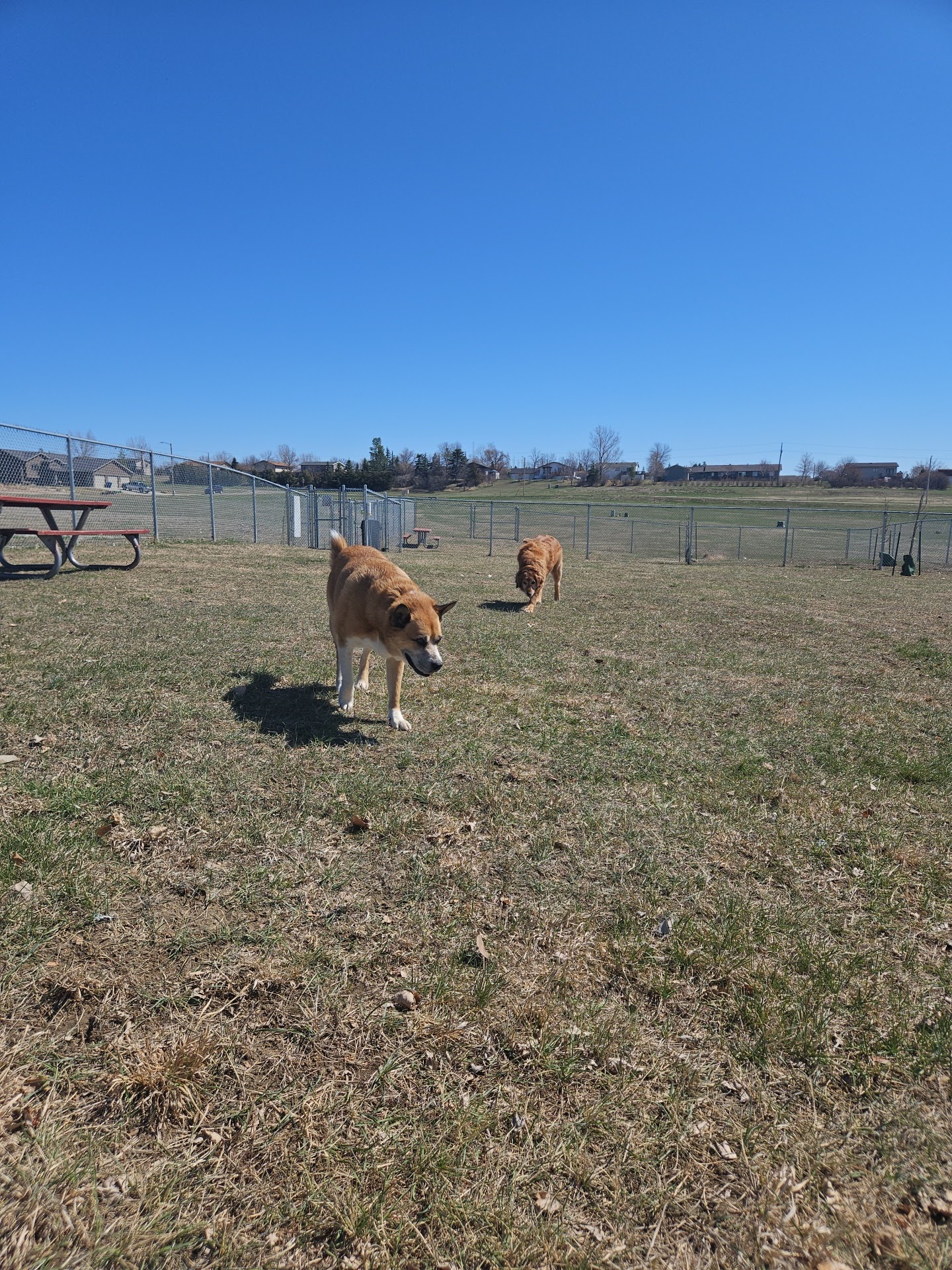 Sparks Dog Park - Beulah, ND