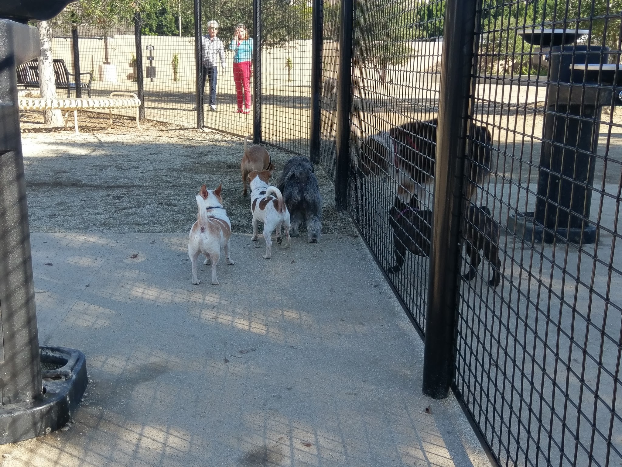 Beverly Hills Dog Park - Beverly Hills, CA