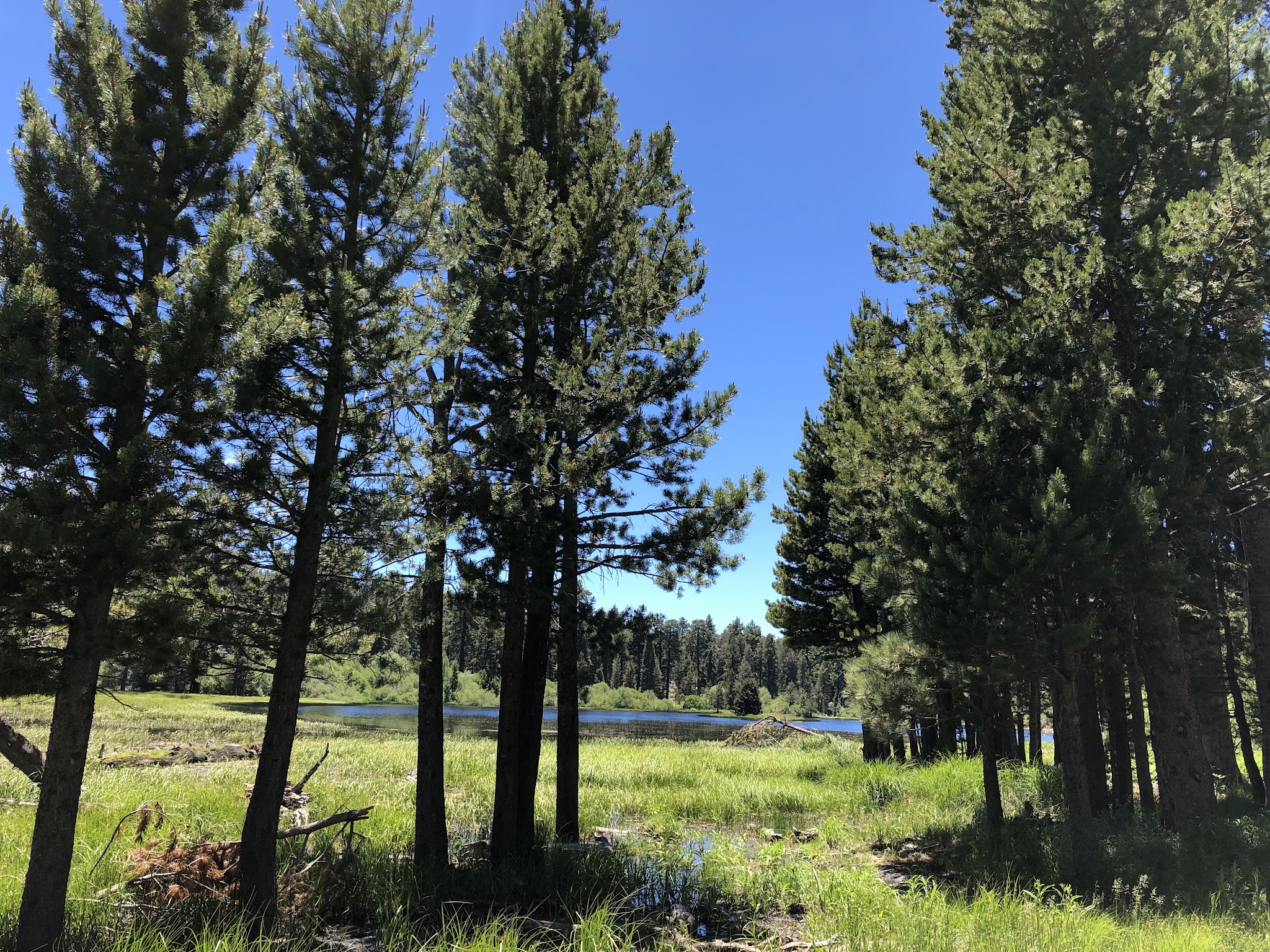 Bluff Lake Reserve - Big Bear Lake, CA