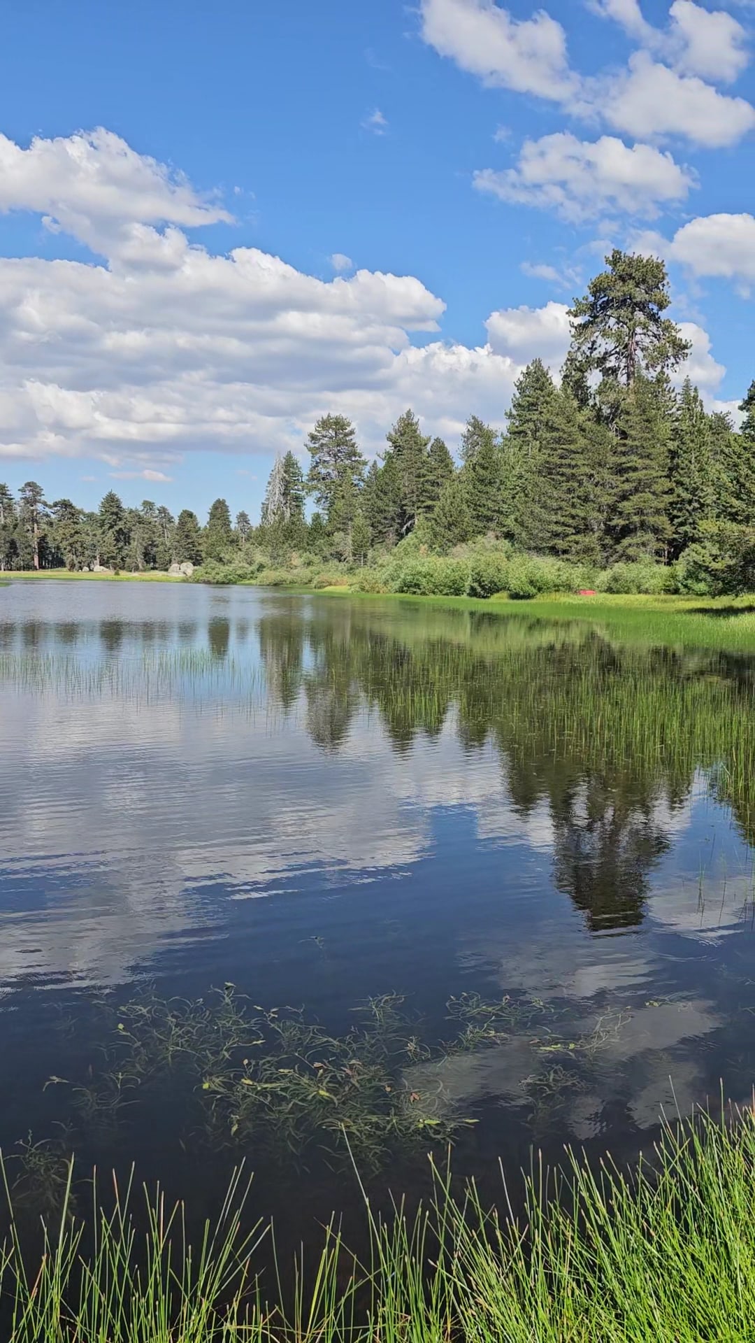 Bluff Lake Reserve - Big Bear Lake, CA