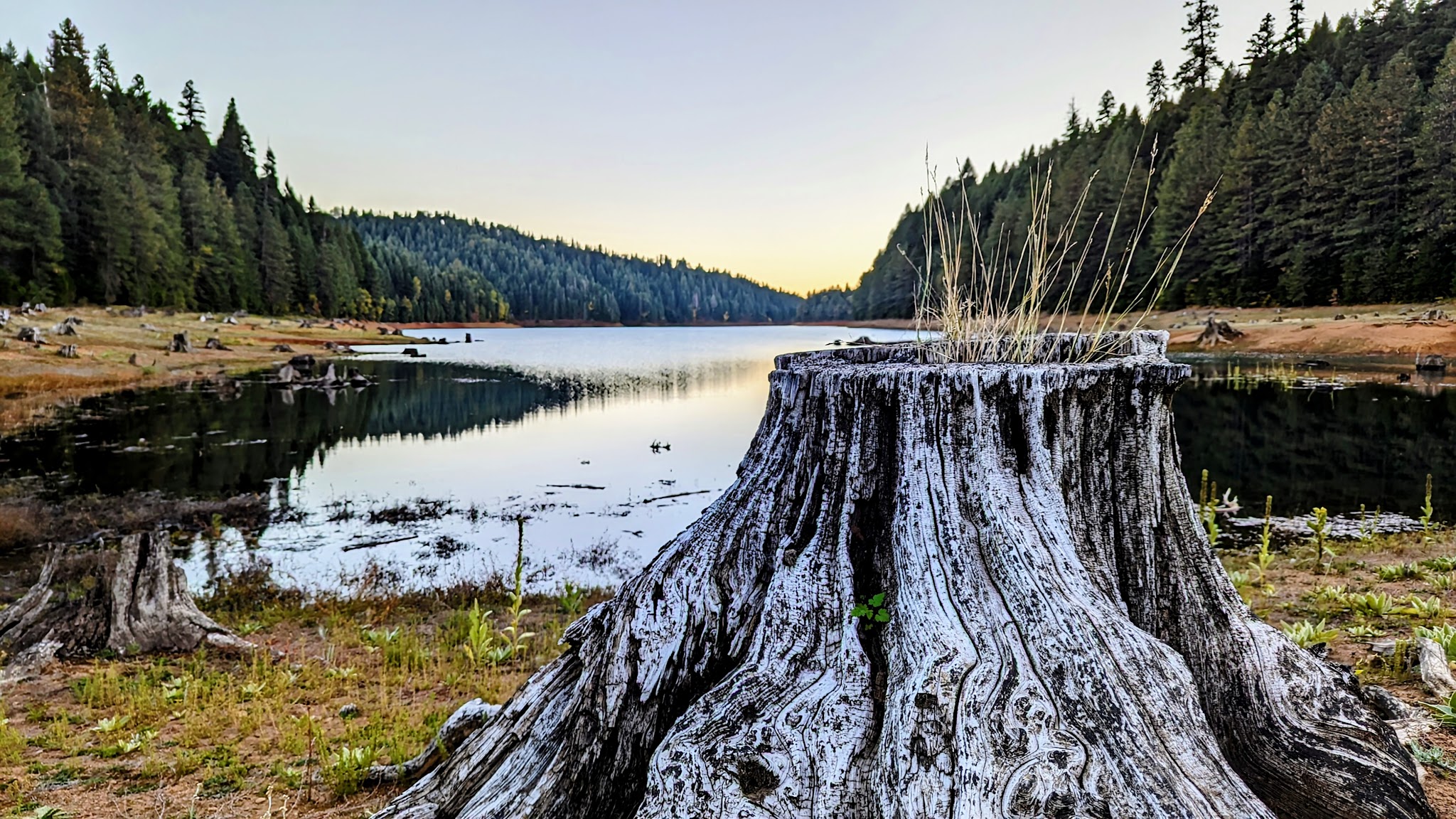 Deadlun Campground - Big Bend, CA