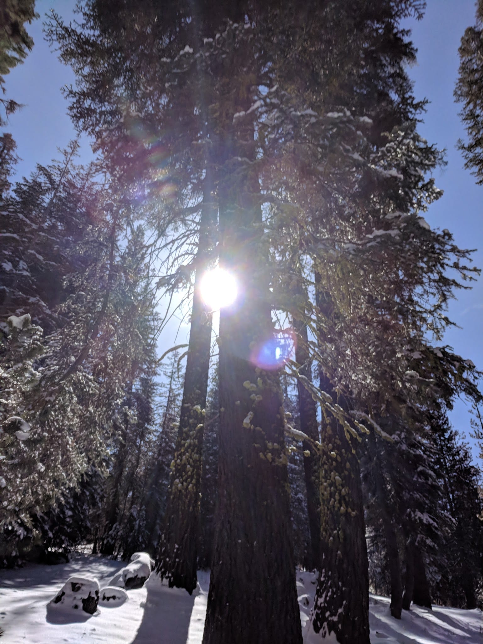 Coyote Sno-Park - Big Creek, CA