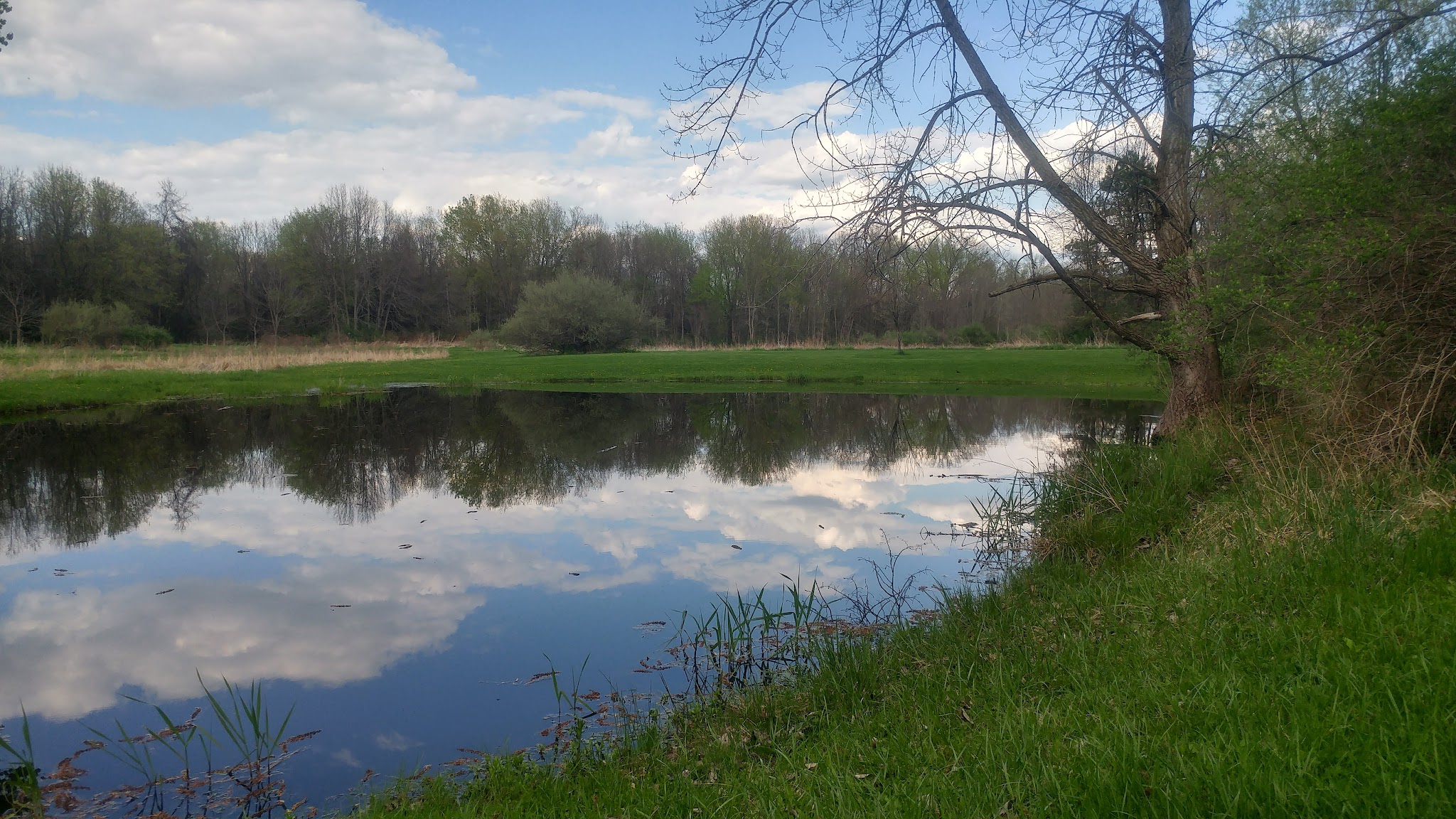 Big Flats Community Park - Big Flats, NY